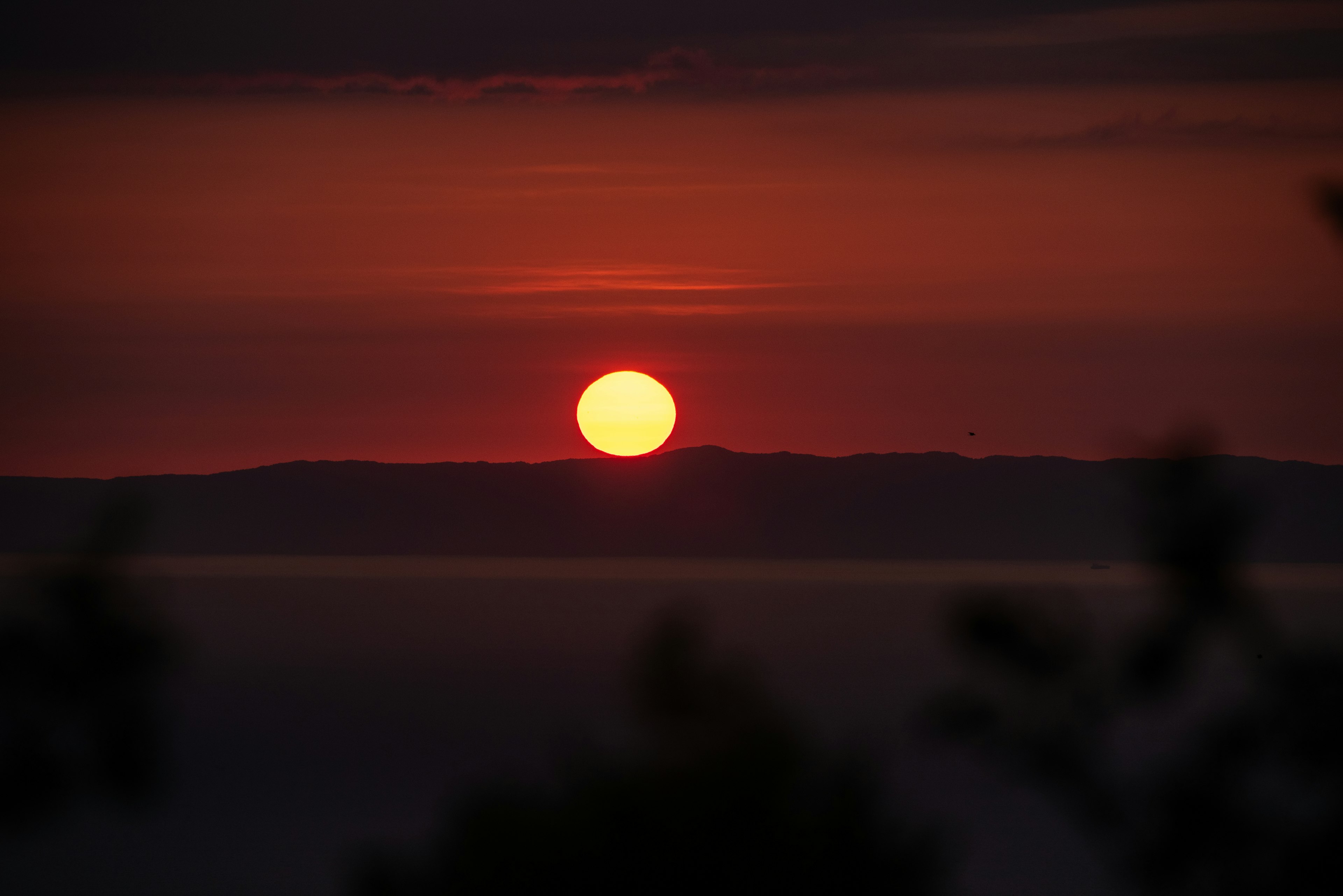 Sonnenuntergang am Horizont mit einem lebhaften roten Himmel