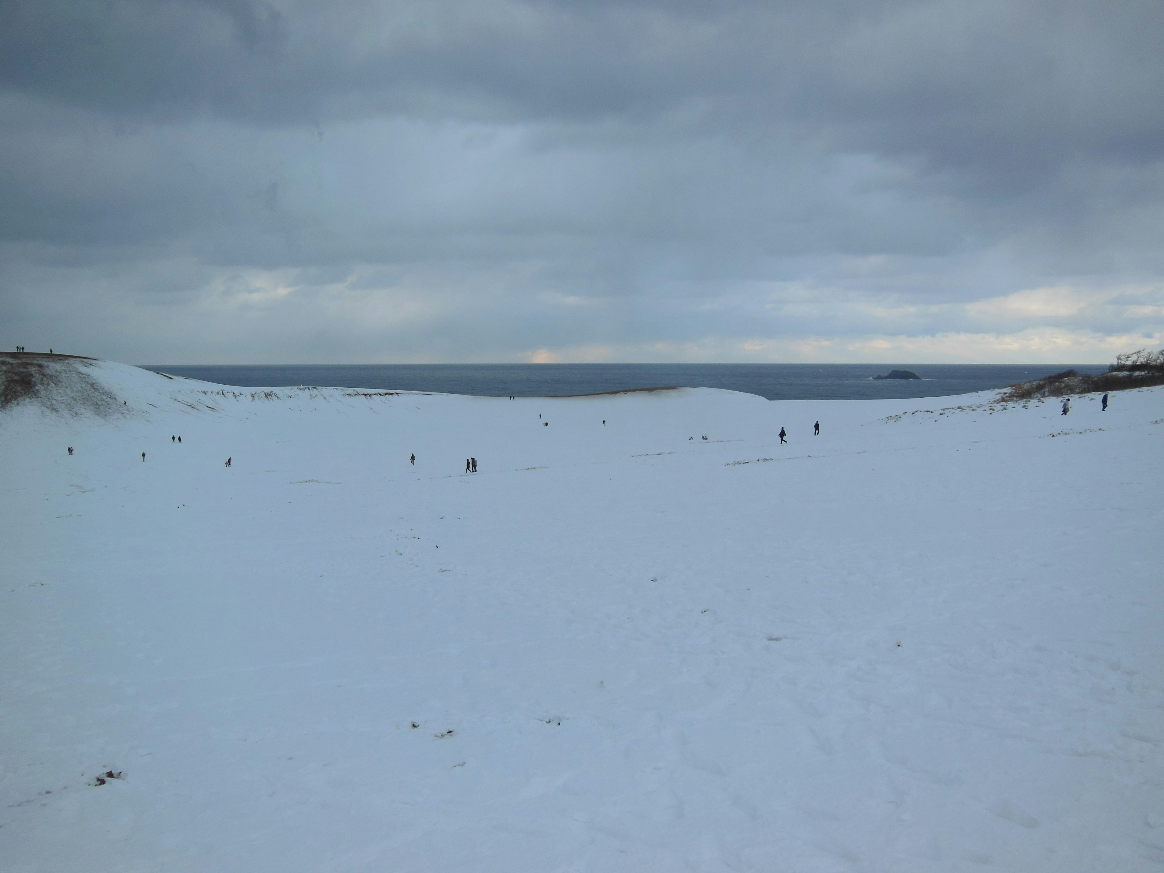 雪に覆われた広大な風景と曇った空