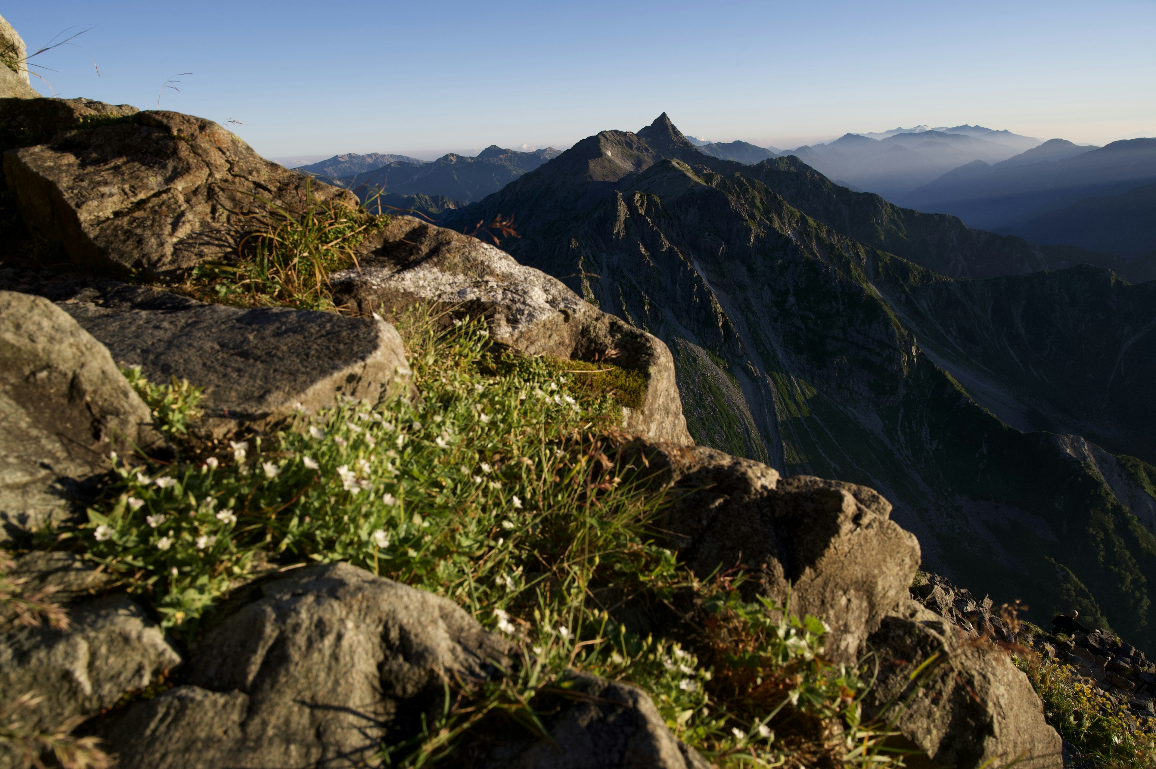 Pemandangan dari puncak gunung dengan bunga putih dan medan berbatu