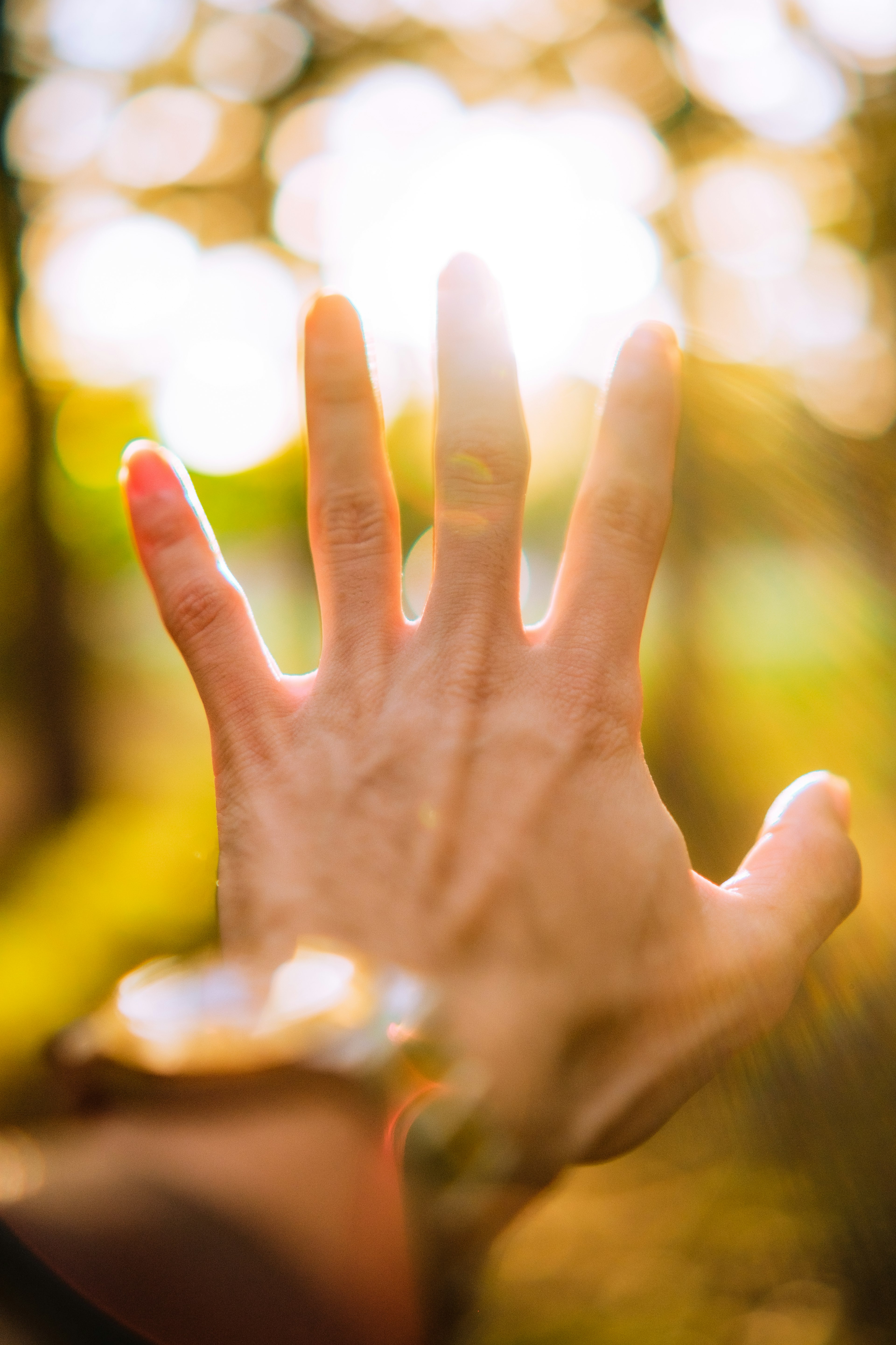 Una mano abierta con luz suave de fondo