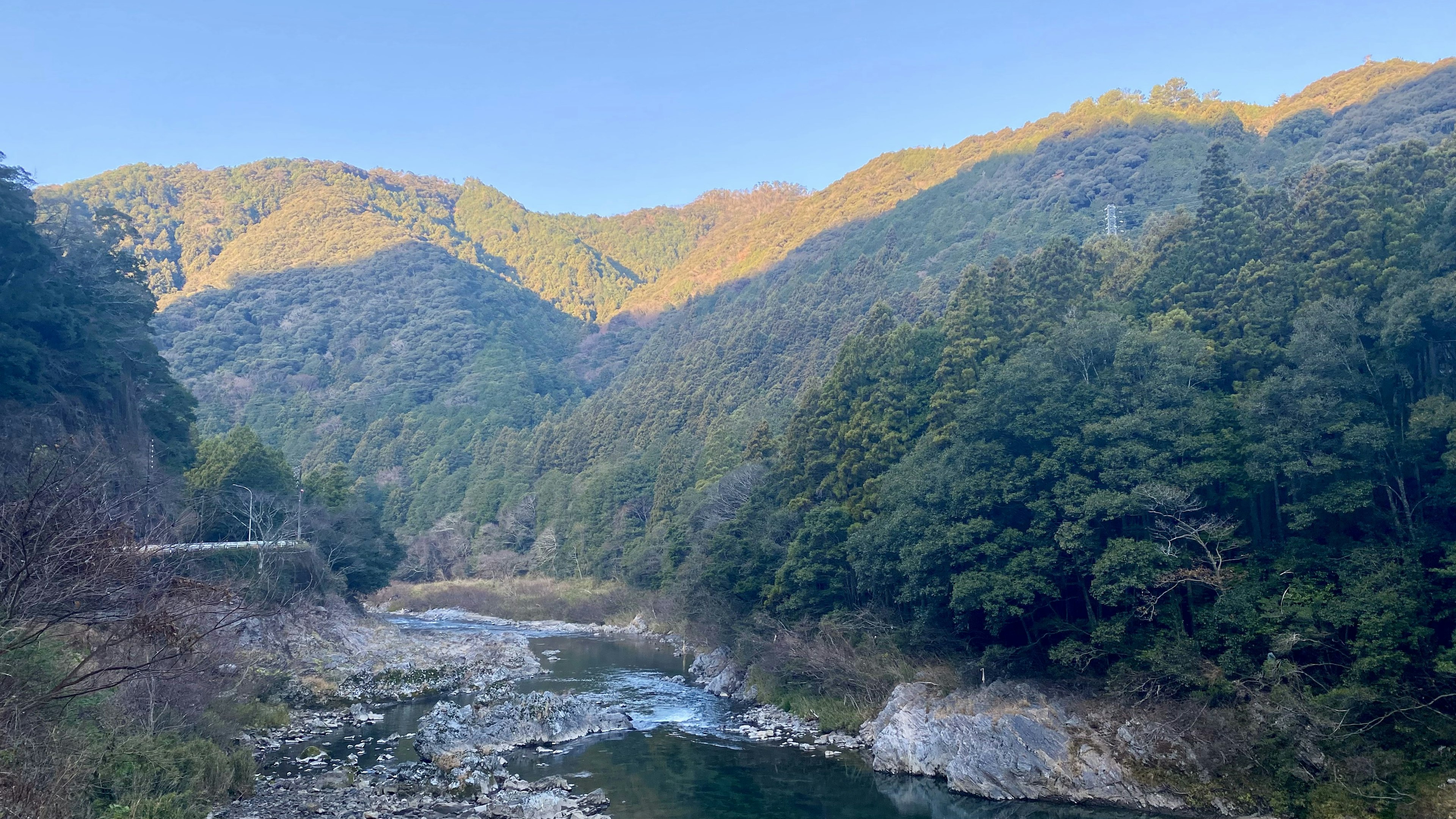 Vue panoramique de montagnes et de rivière forêt verdoyante et courant doux