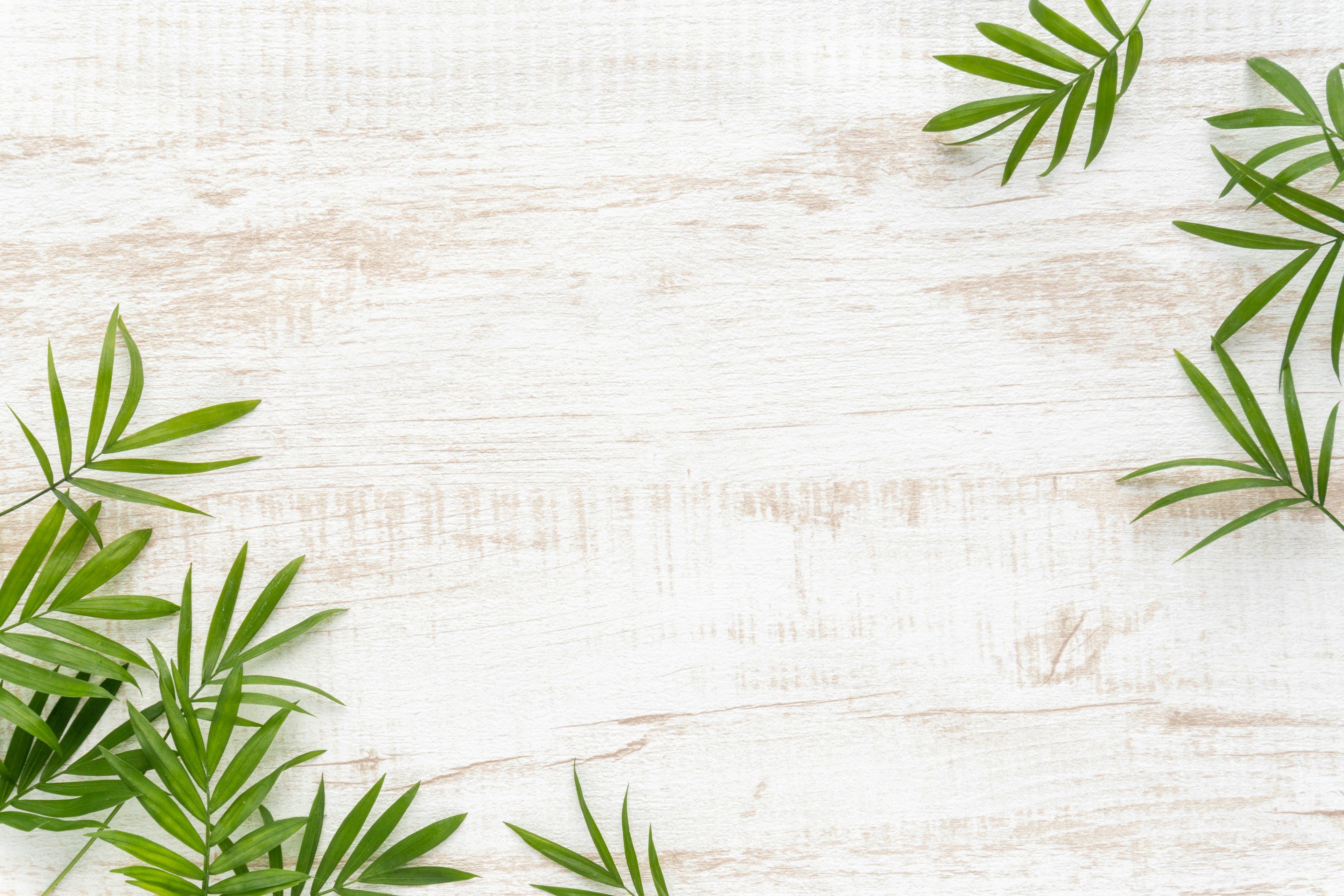 Simple design featuring green leaves on a white wood background