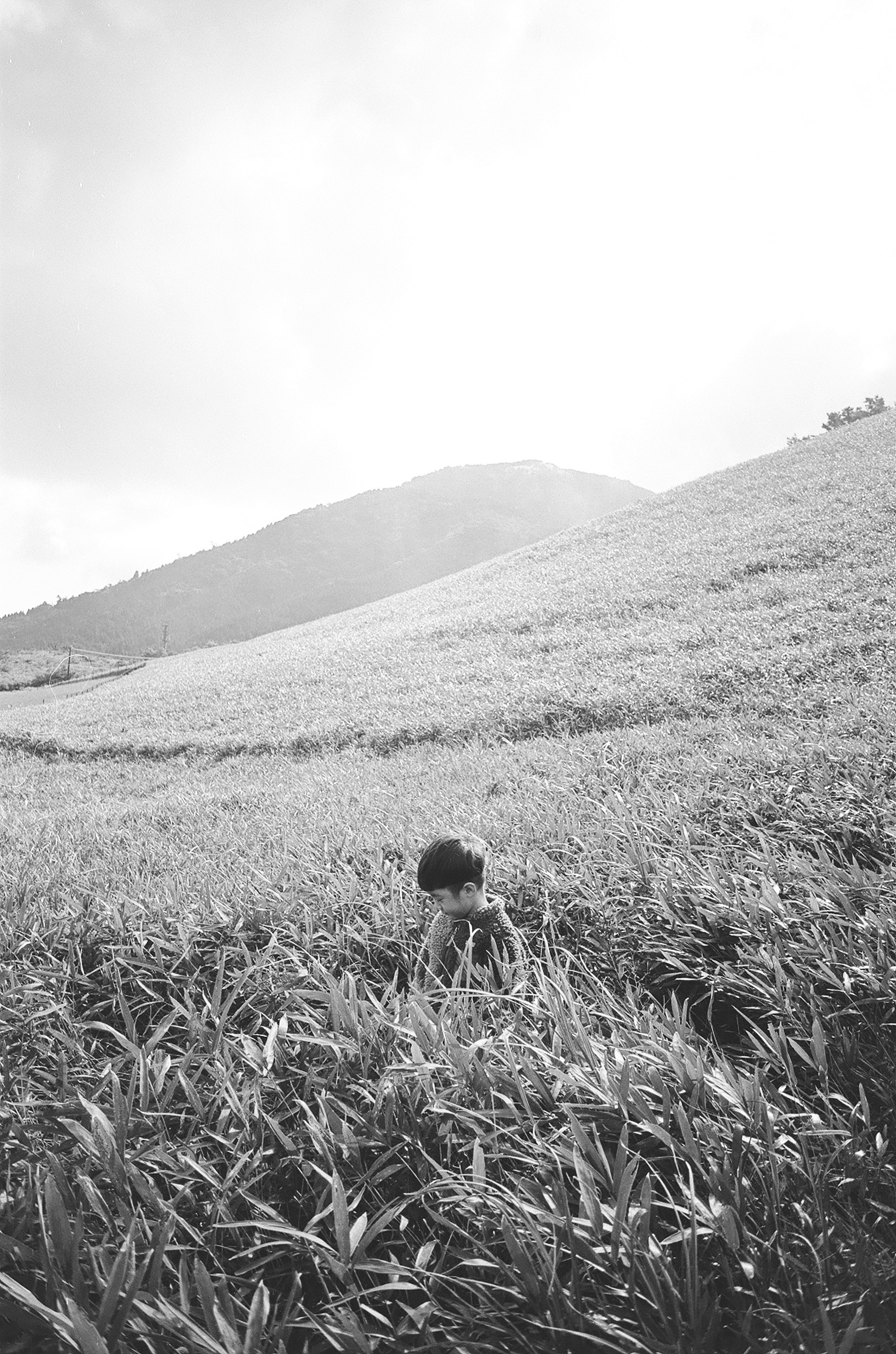 A person in a black and white grassy field with hills in the background