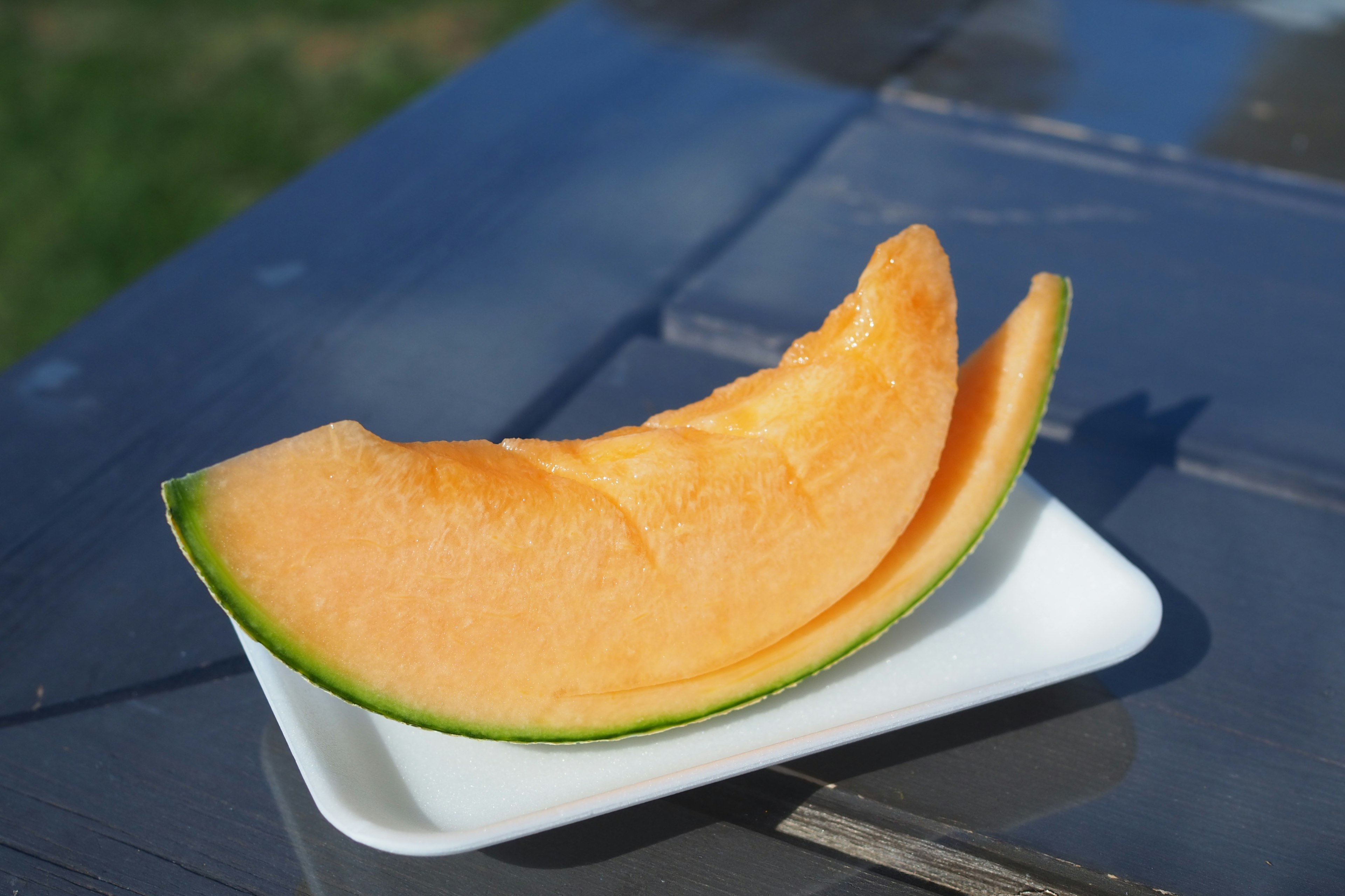 Slice of cantaloupe with orange flesh on a white plate