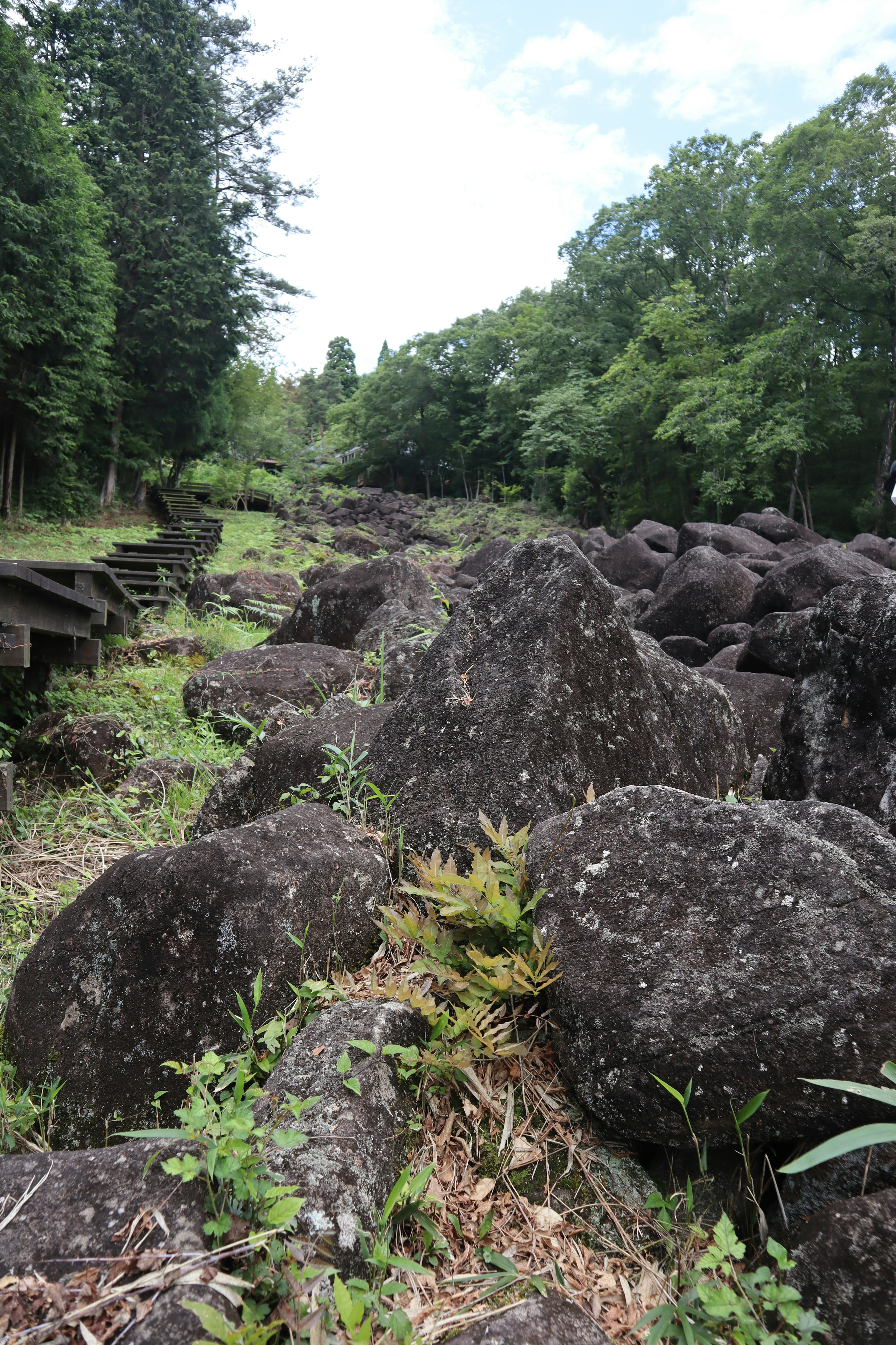 Paysage naturel avec de grandes roches et de la végétation verte