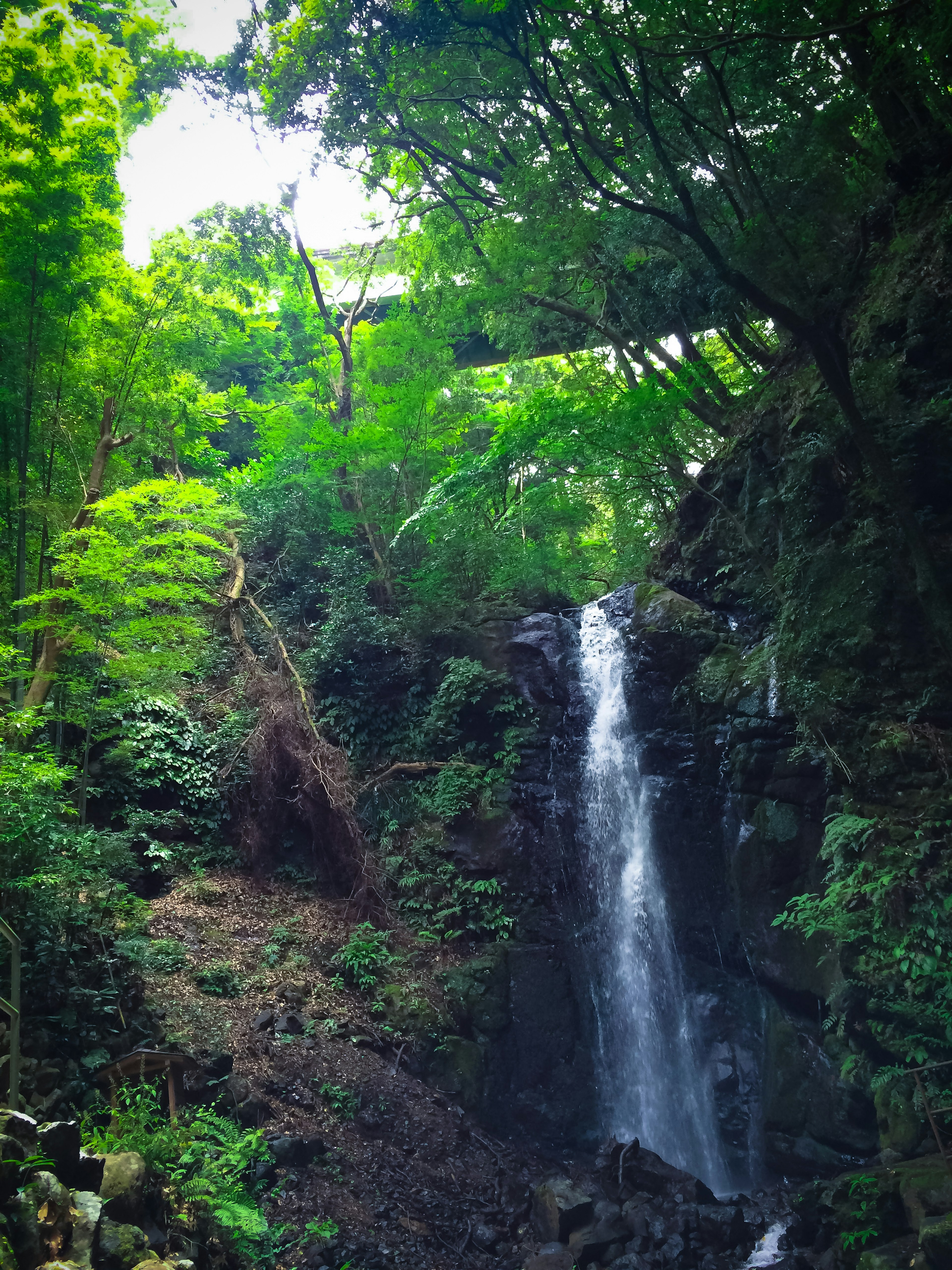 Paisaje verde con una cascada