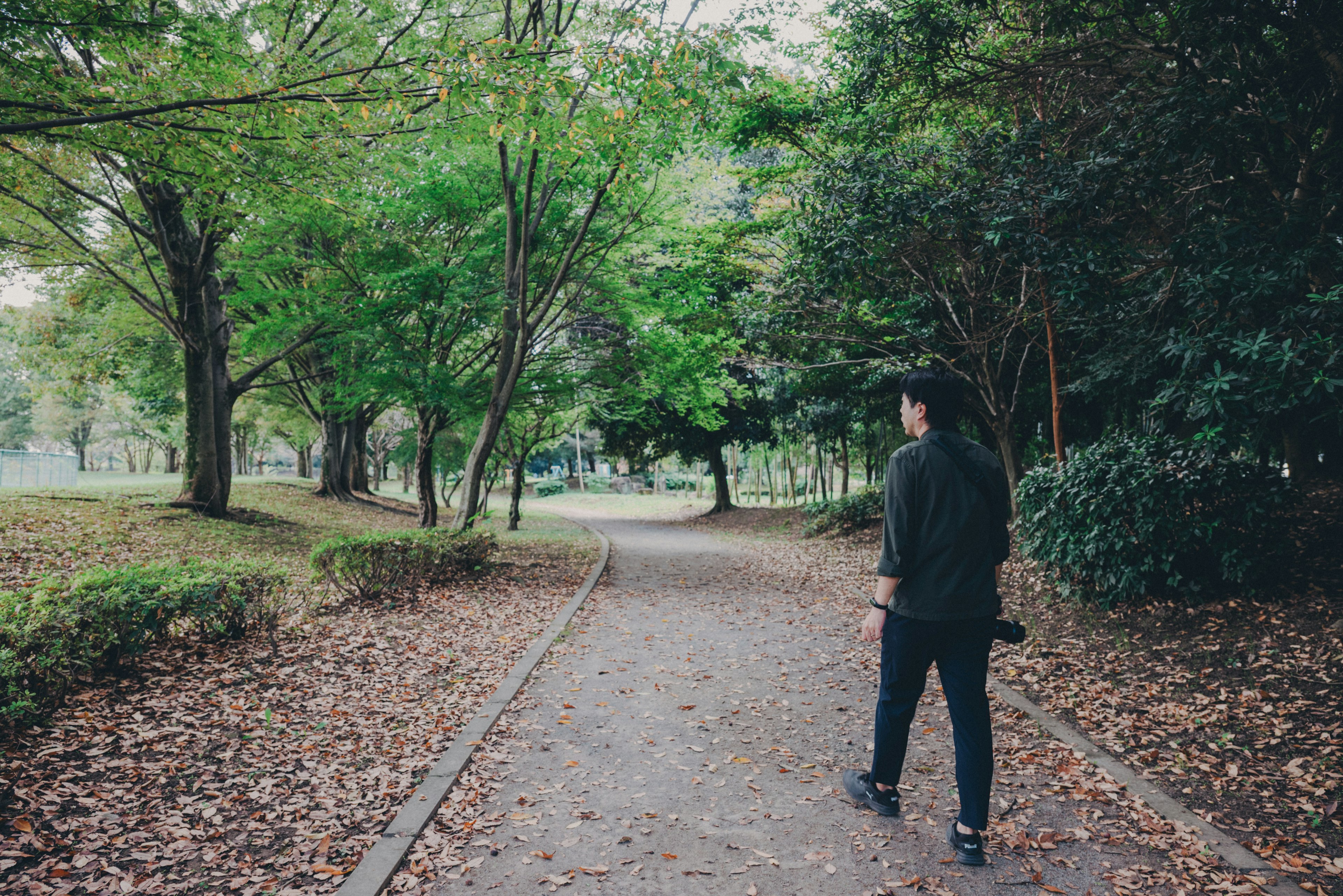 Person walking on a path surrounded by green trees in a park