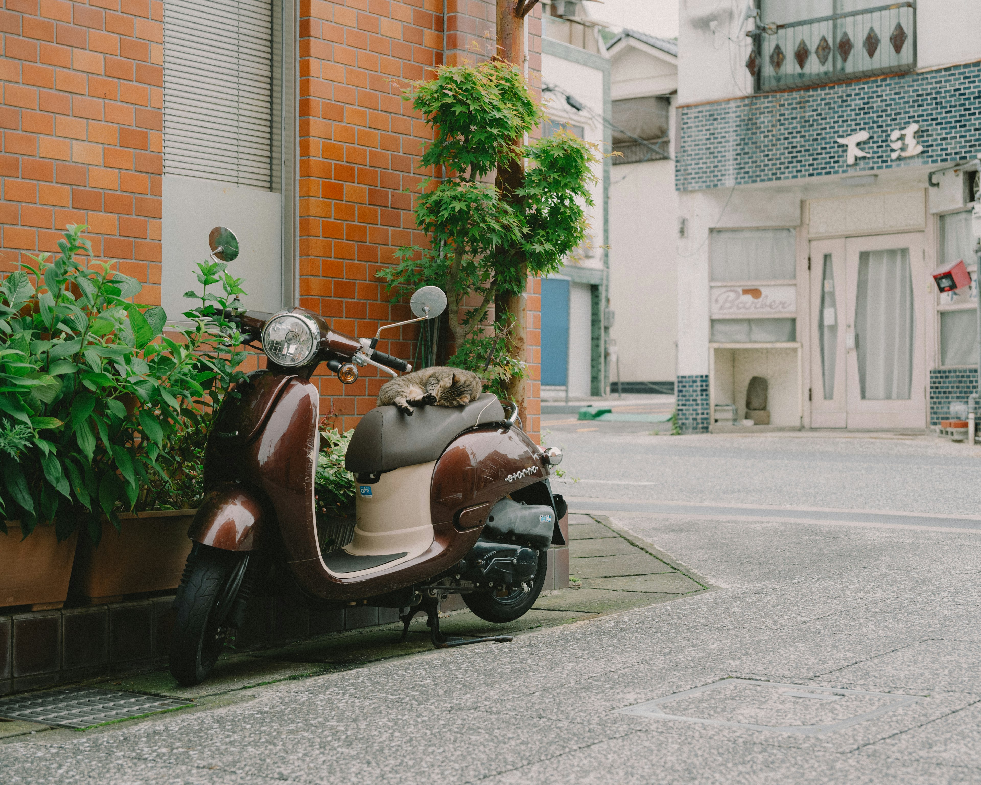 茶色のスクーターが緑の植物の横に停まっている街角の風景