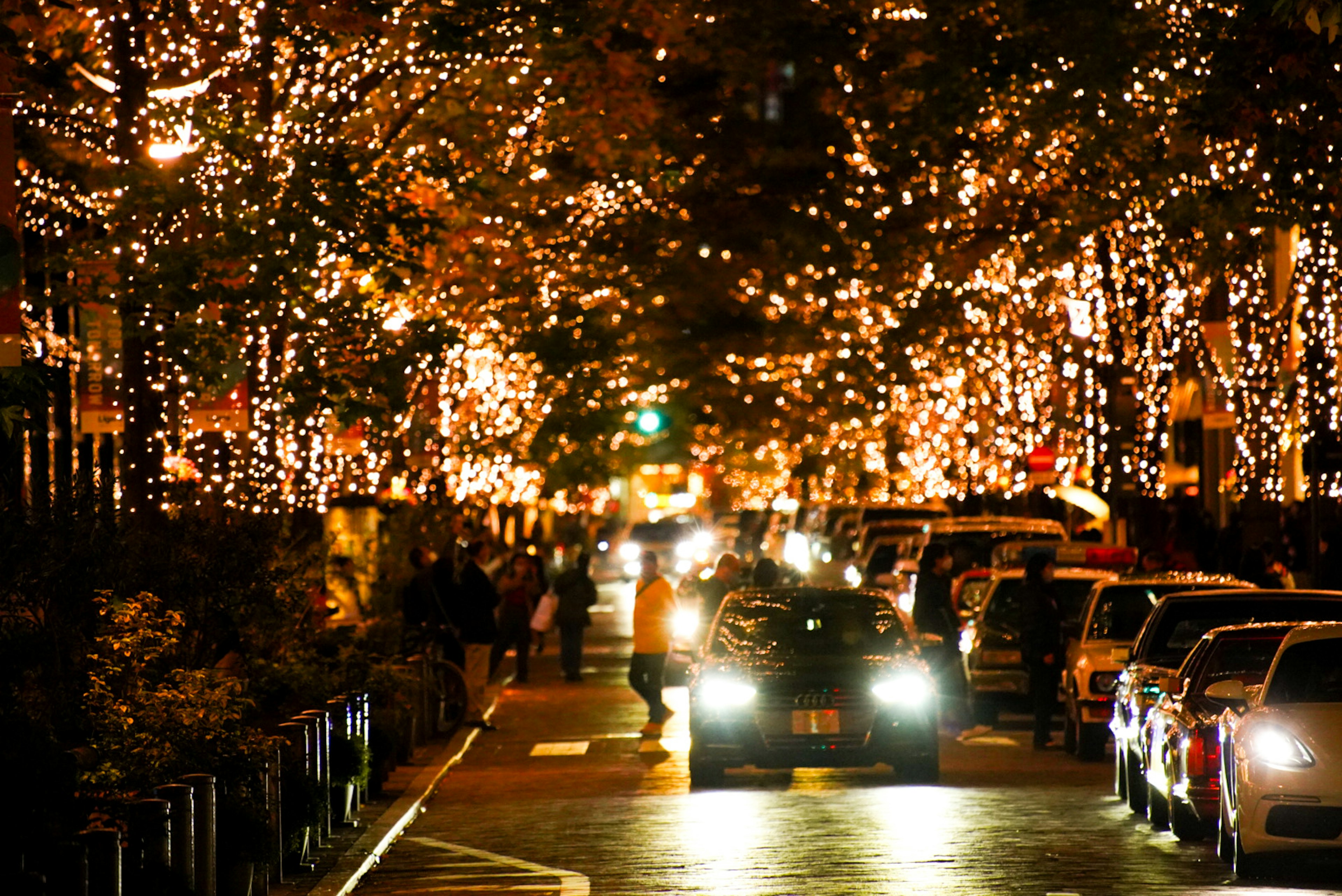 Street decorated with sparkling lights and flowing cars