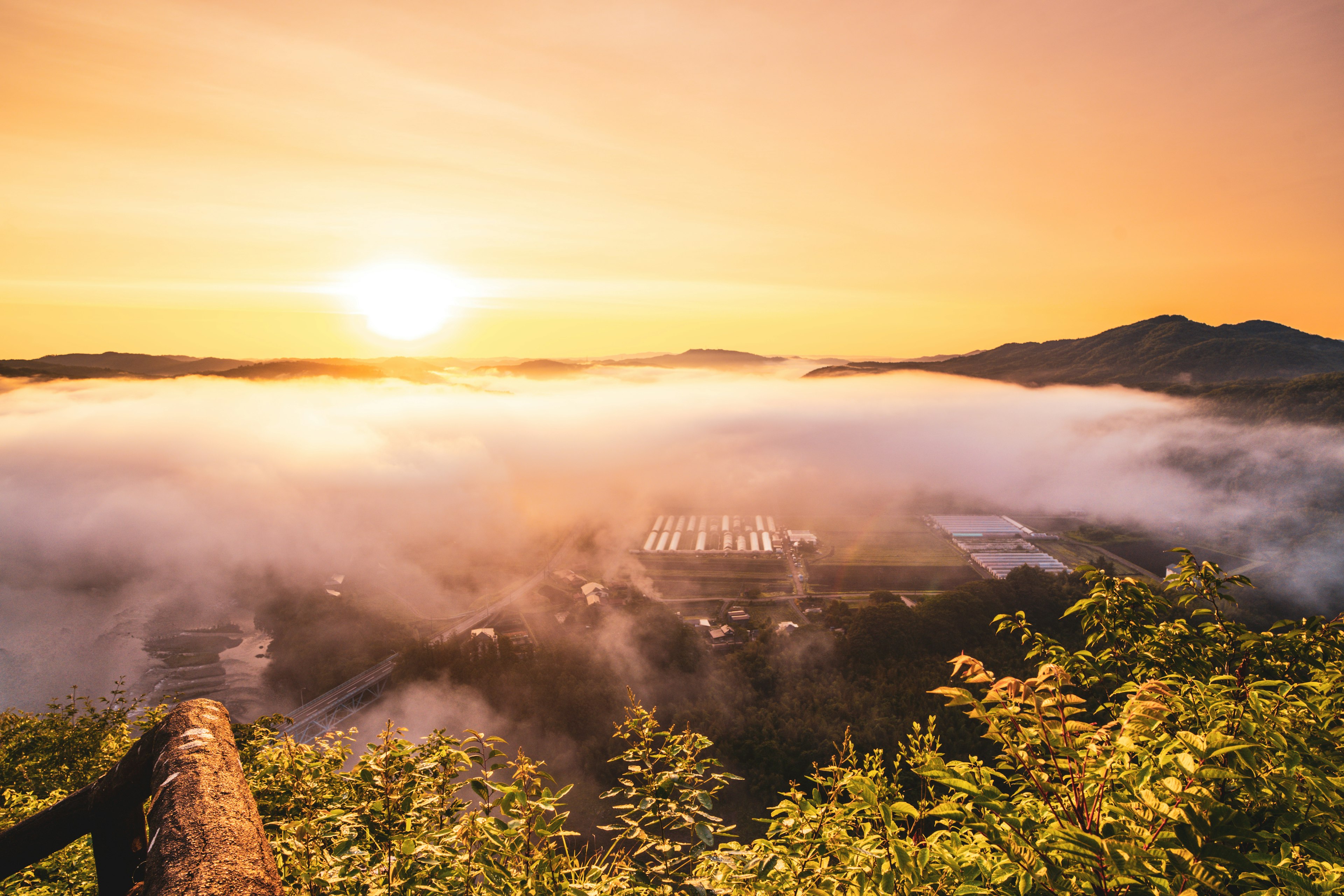 Hermoso paisaje del sol poniéndose sobre un valle cubierto de niebla