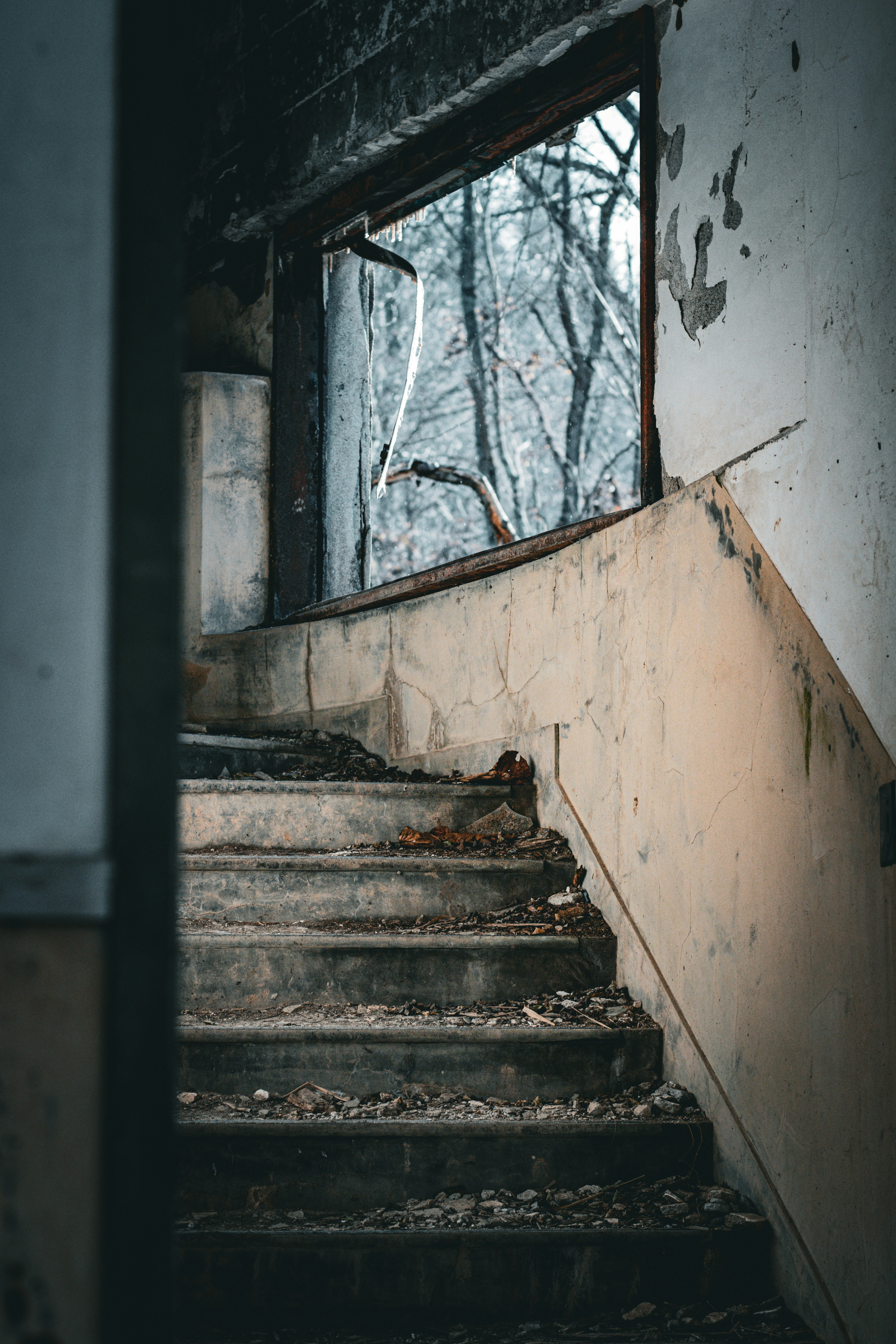 Treppe in einem verlassenen Gebäude mit Blick auf Bäume draußen