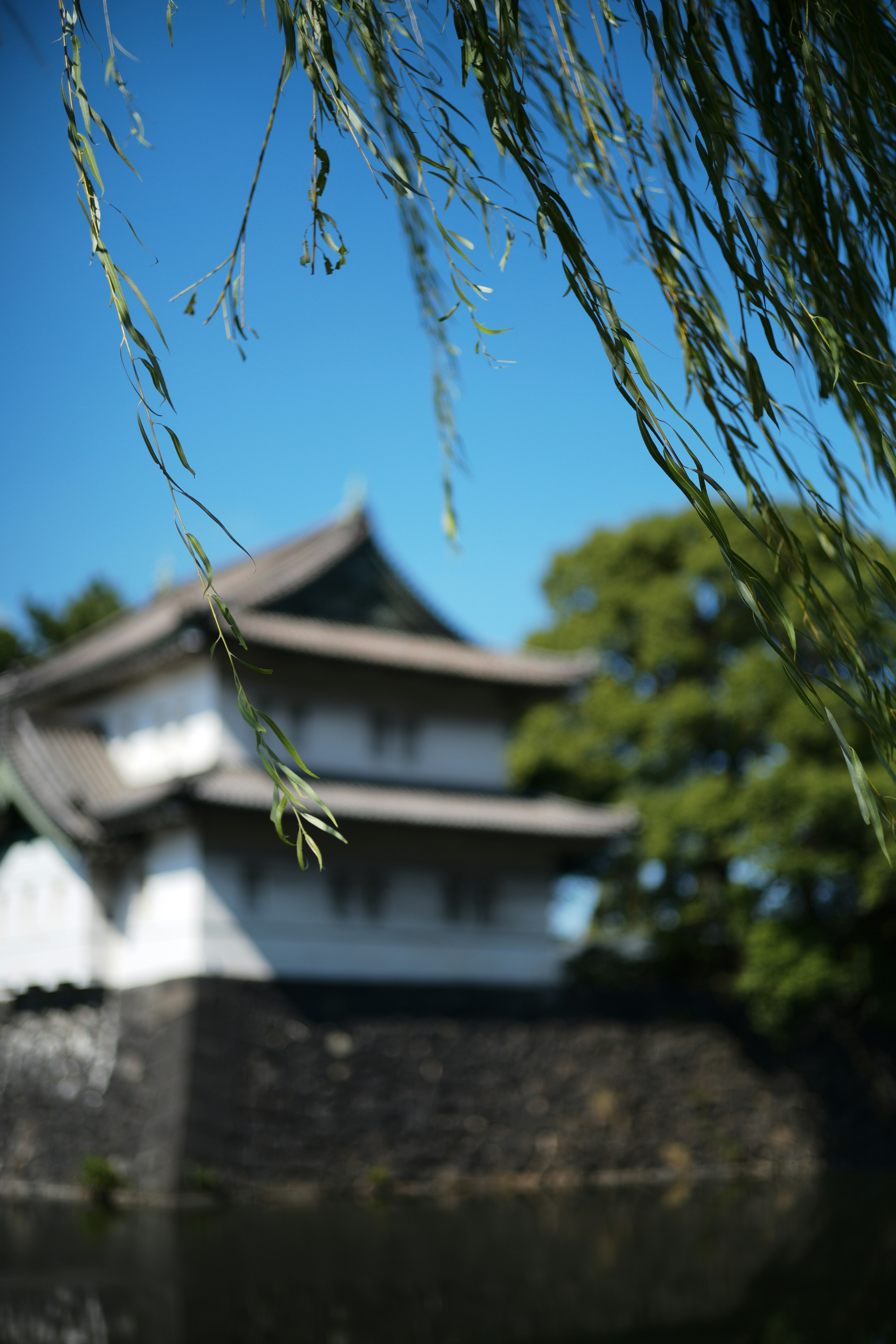 A white castle under a blue sky with green trees in the background