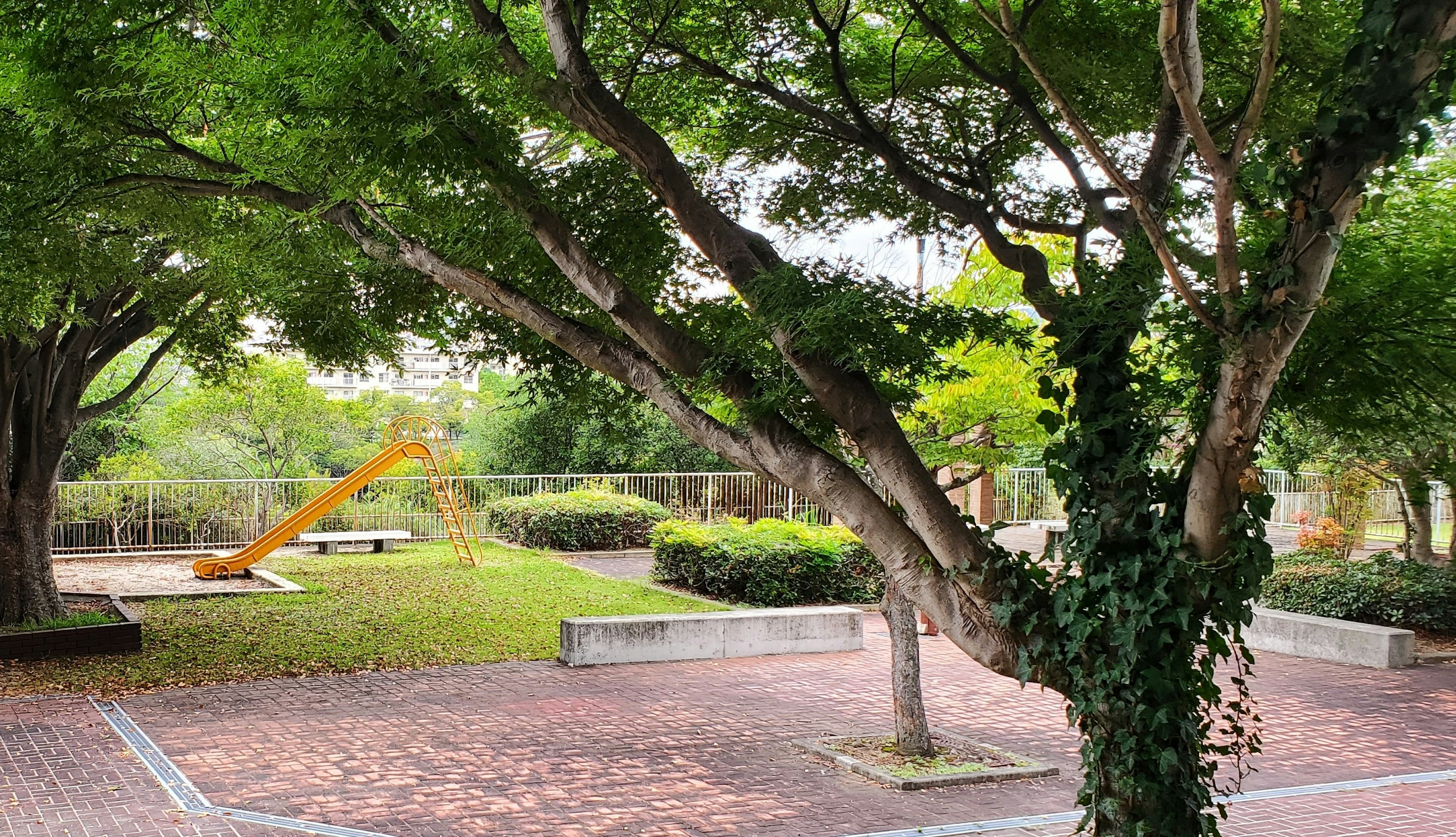 Pemandangan taman rimbun dengan pepohonan dan struktur bermain