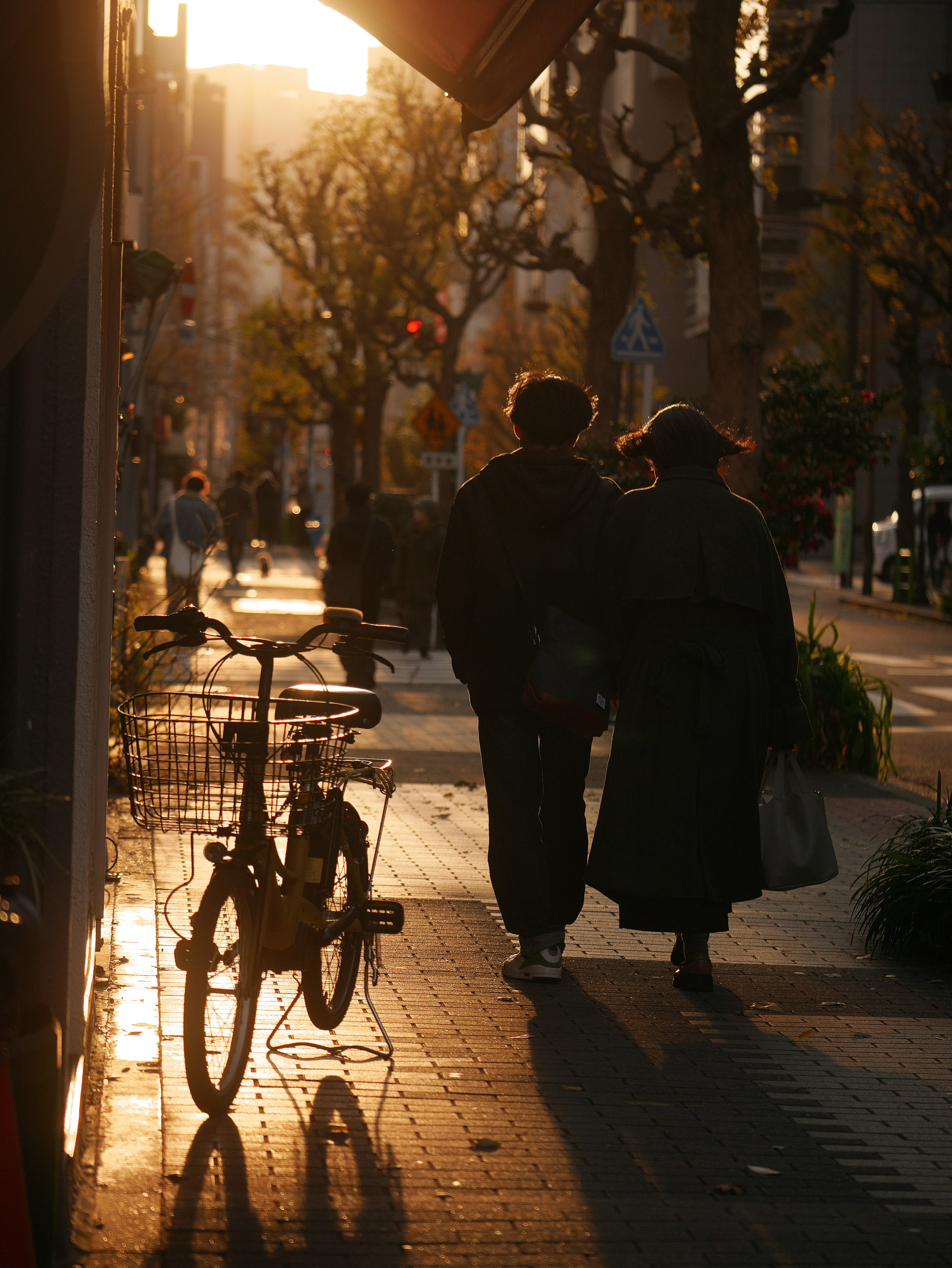 Couple marchant dans la lumière du coucher de soleil avec un vélo dans la rue