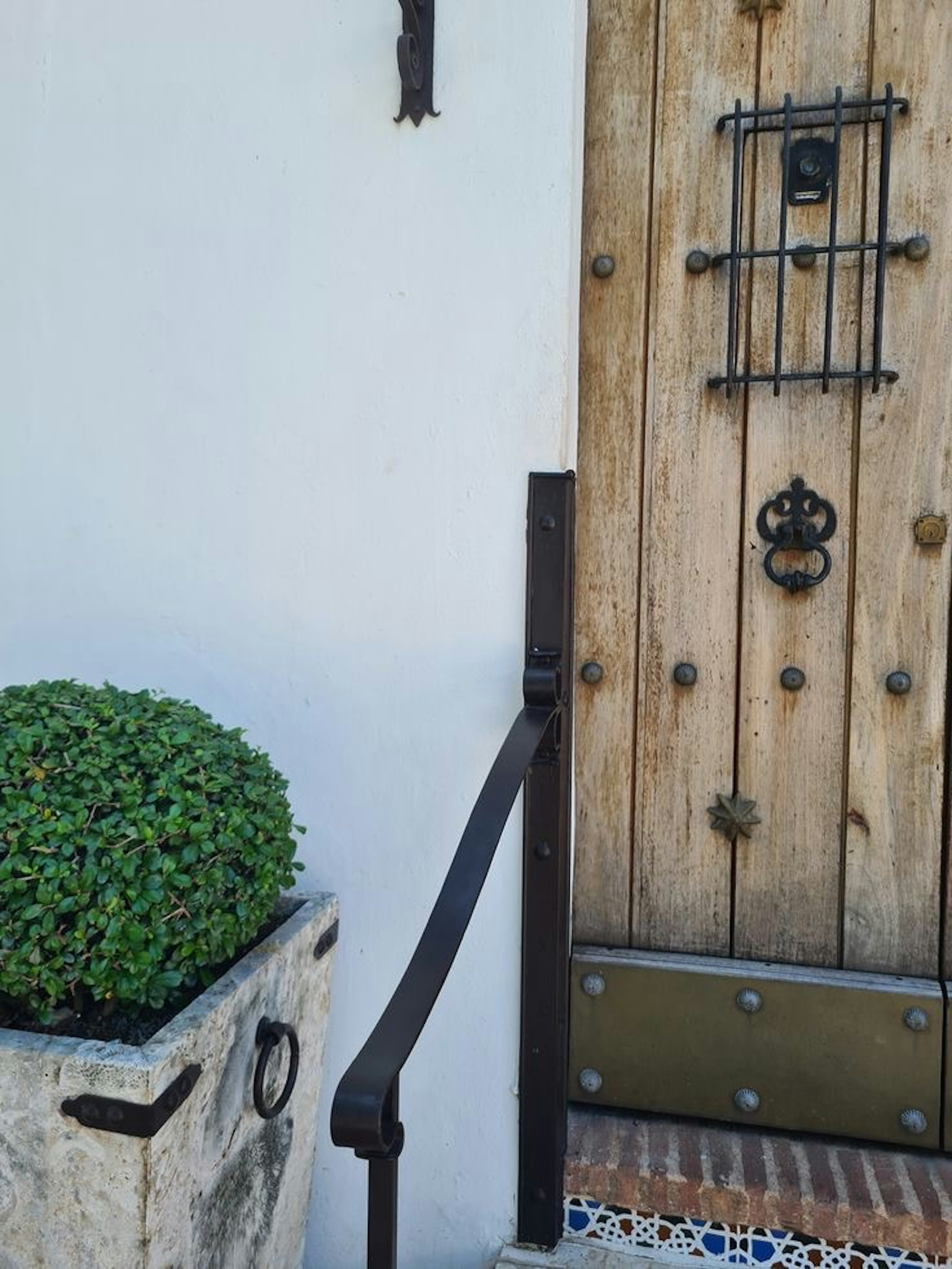 Close-up of a wooden door with iron accents beside a green potted plant