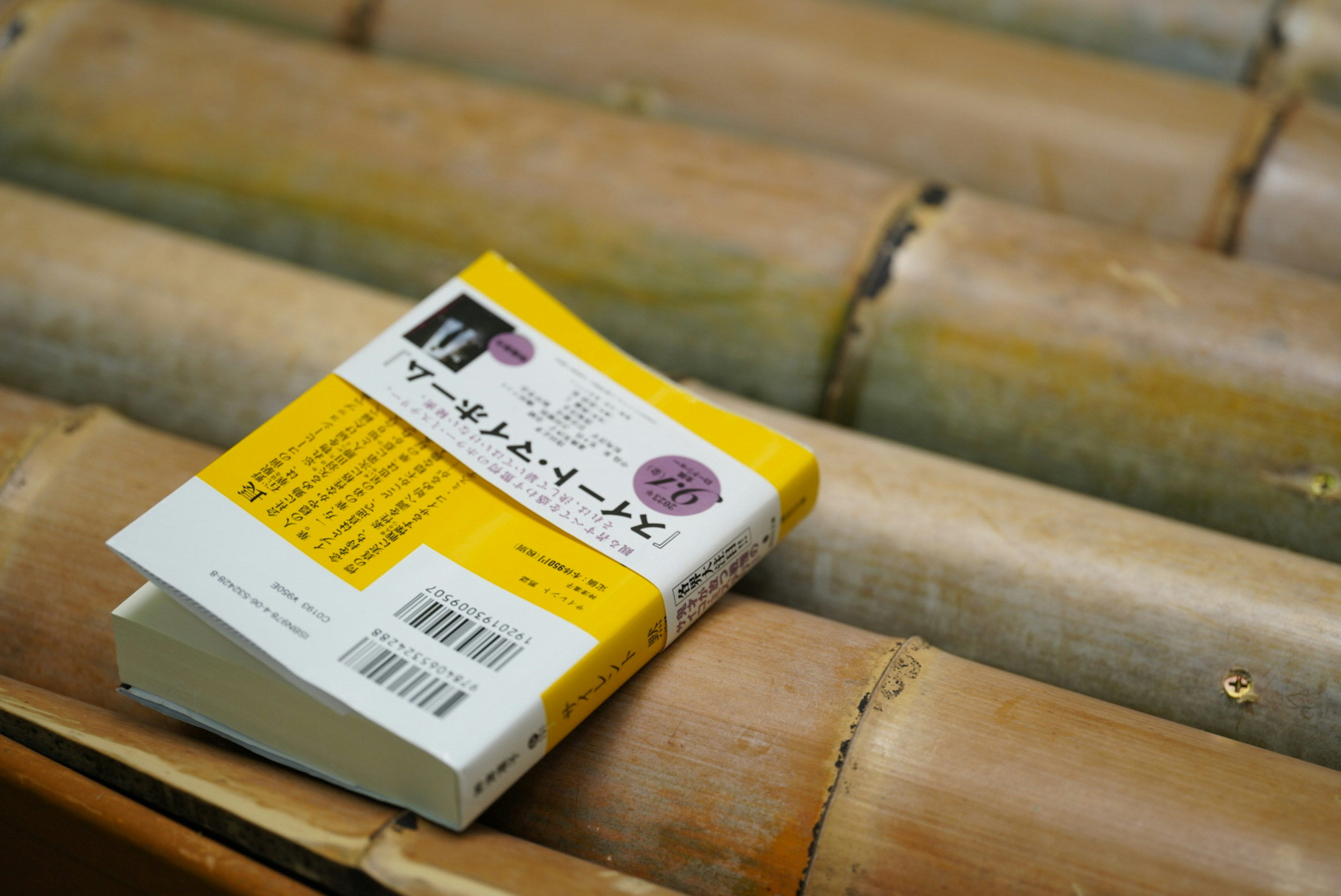 A Japanese book resting on bamboo stalks