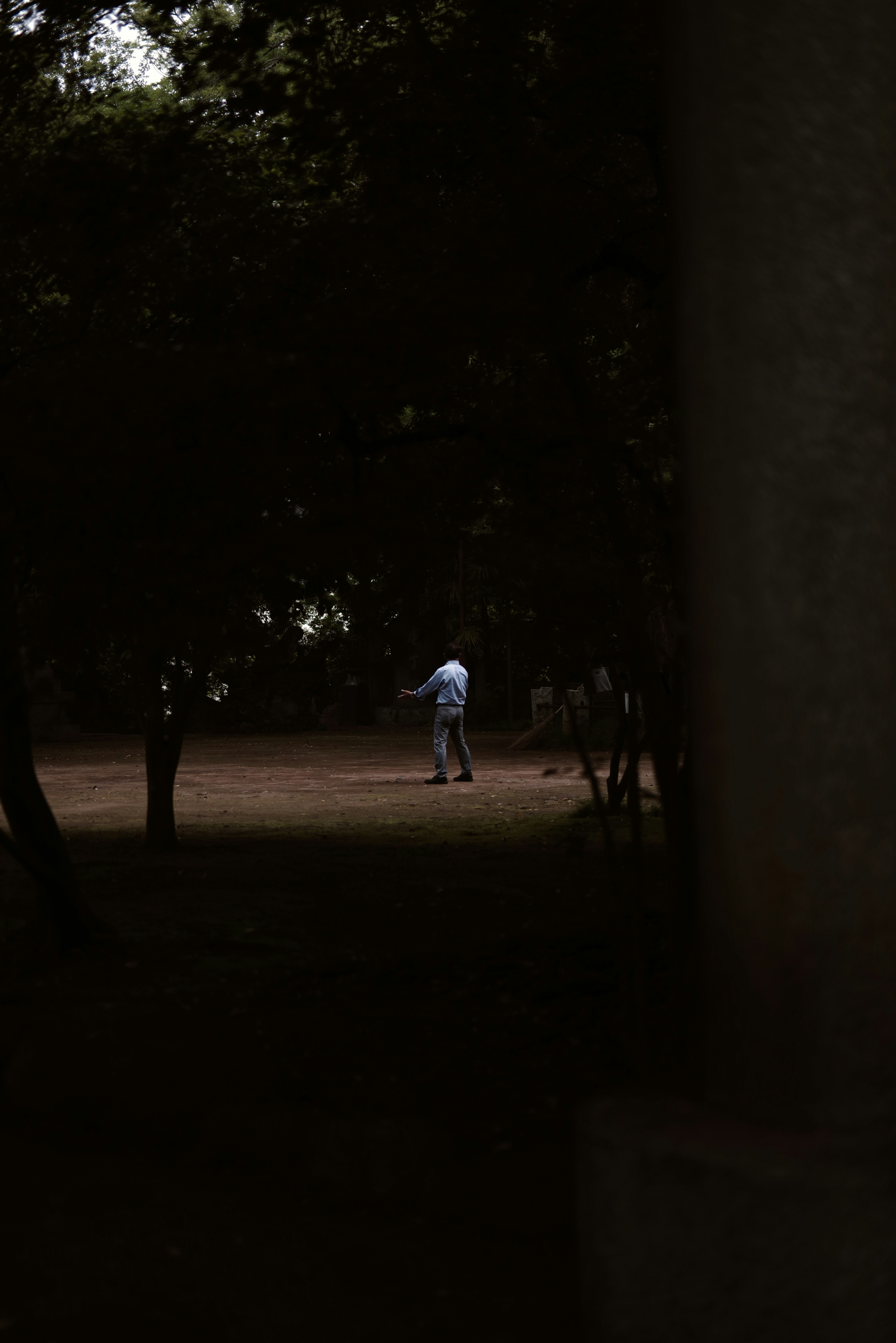 A person in a blue shirt standing in a dark park surrounded by trees