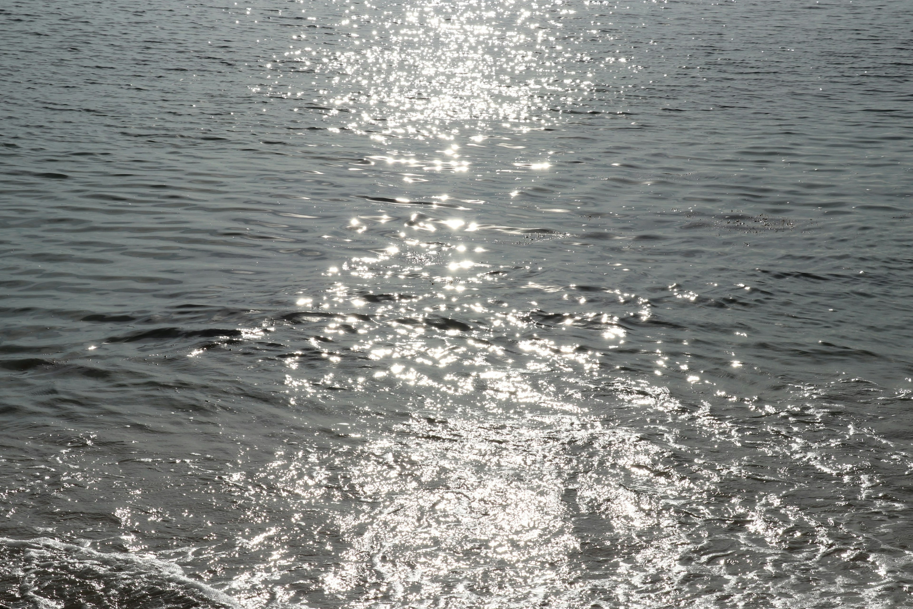 波間に反射する太陽の光が美しい海の景色