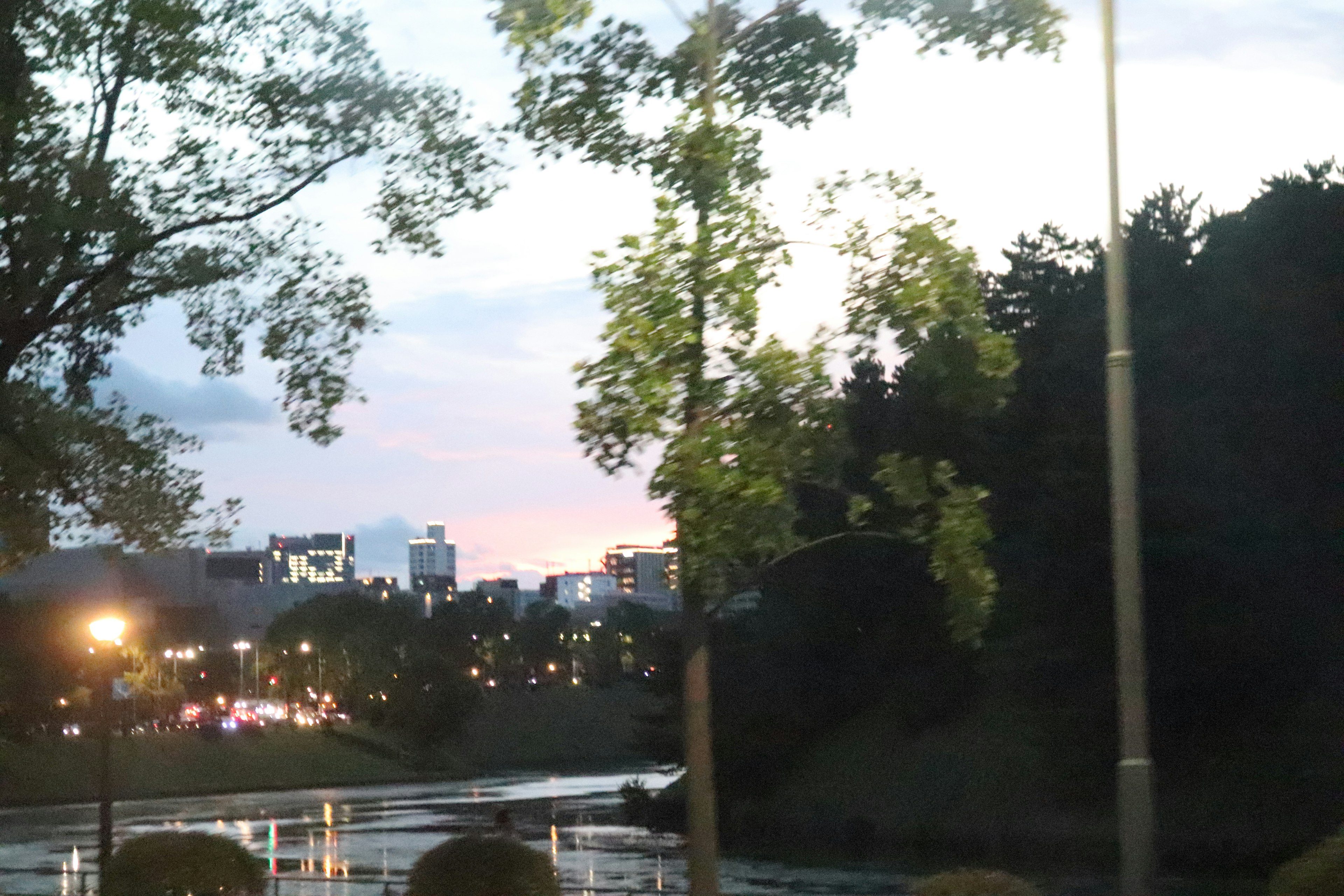 Park scene at dusk with trees and river reflections