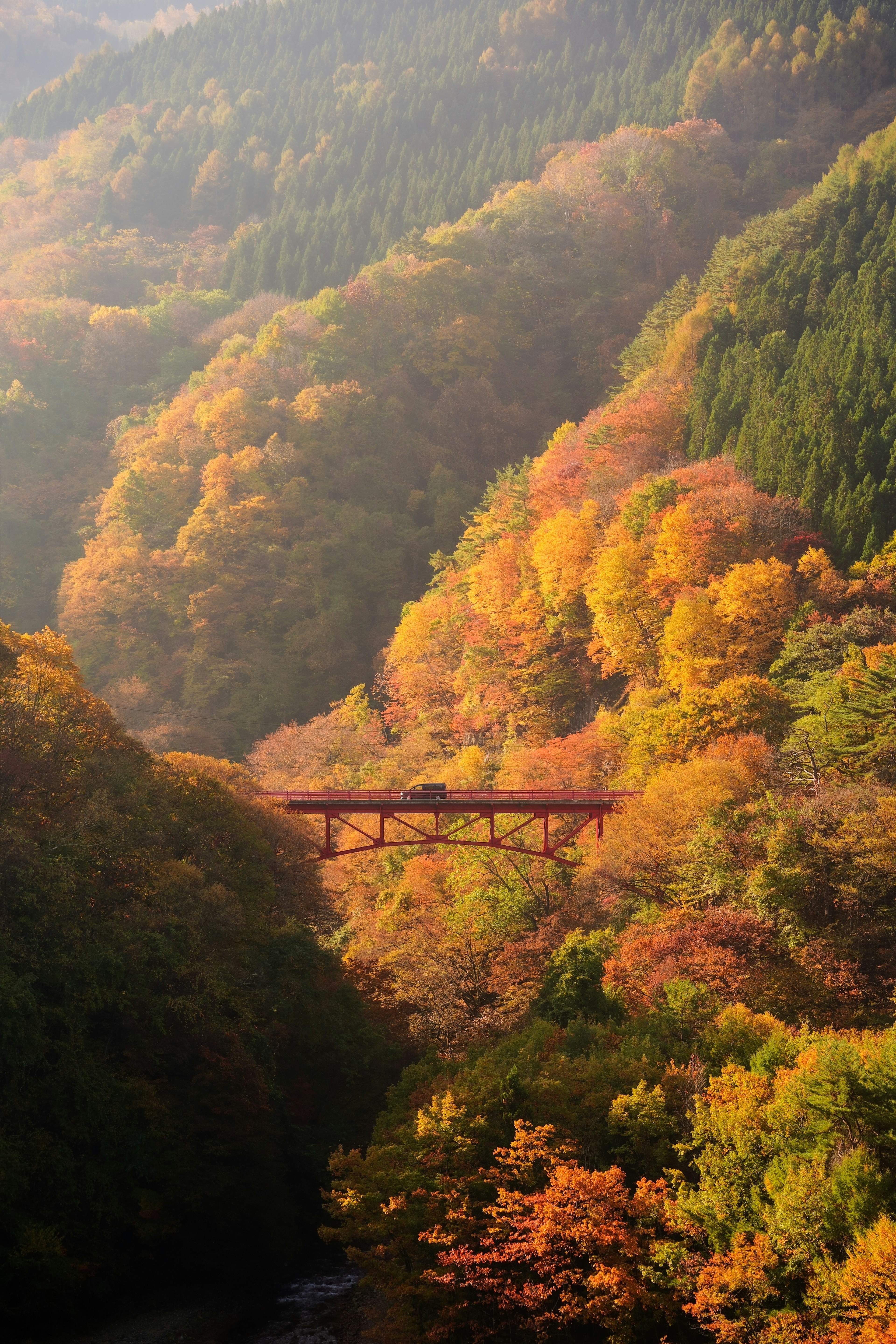 秋の山々を背景にした紅葉に囲まれた鉄橋