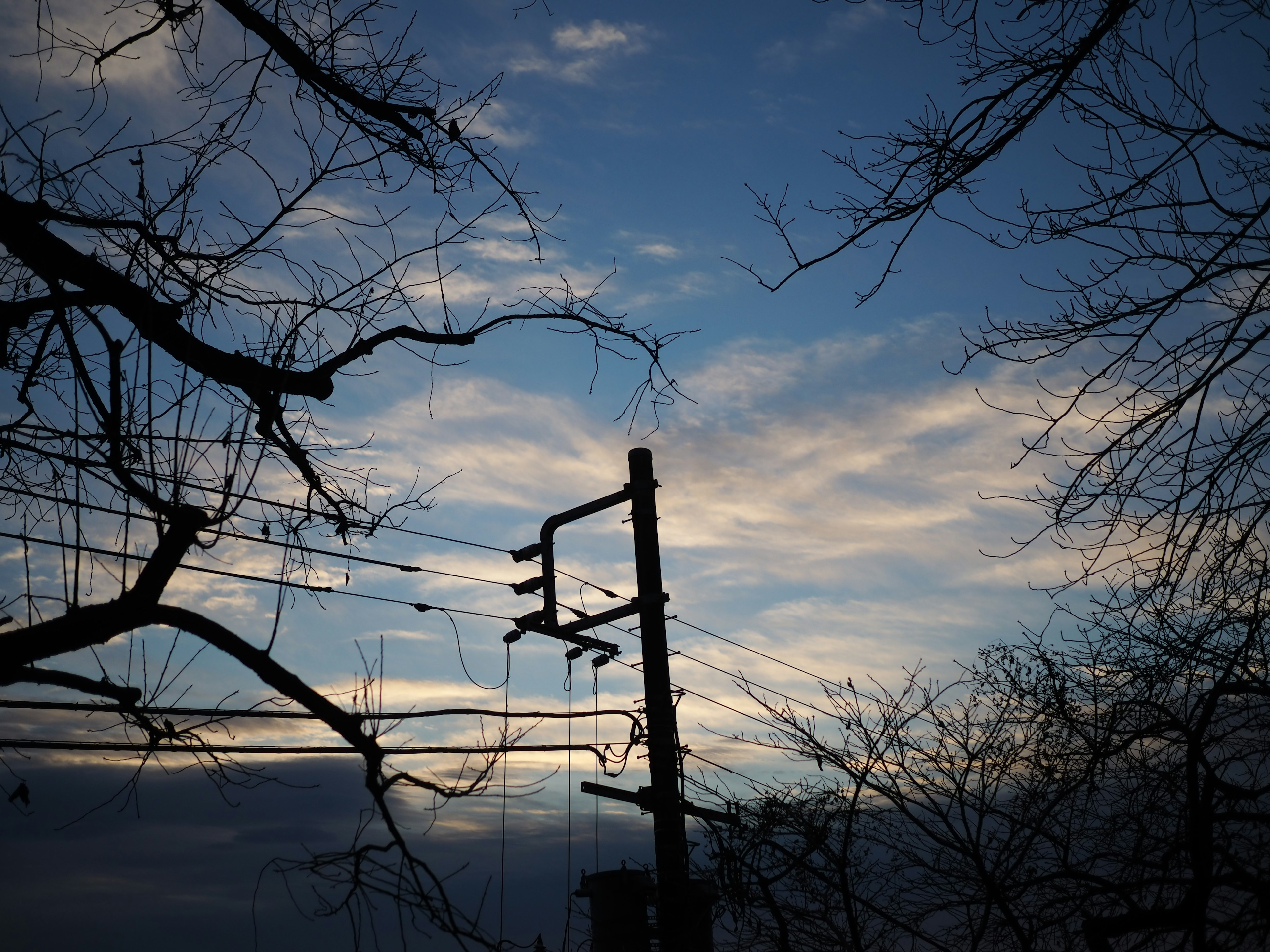 Silhouette eines Strommasts und von Baumästen vor einem Dämmerungshimmel