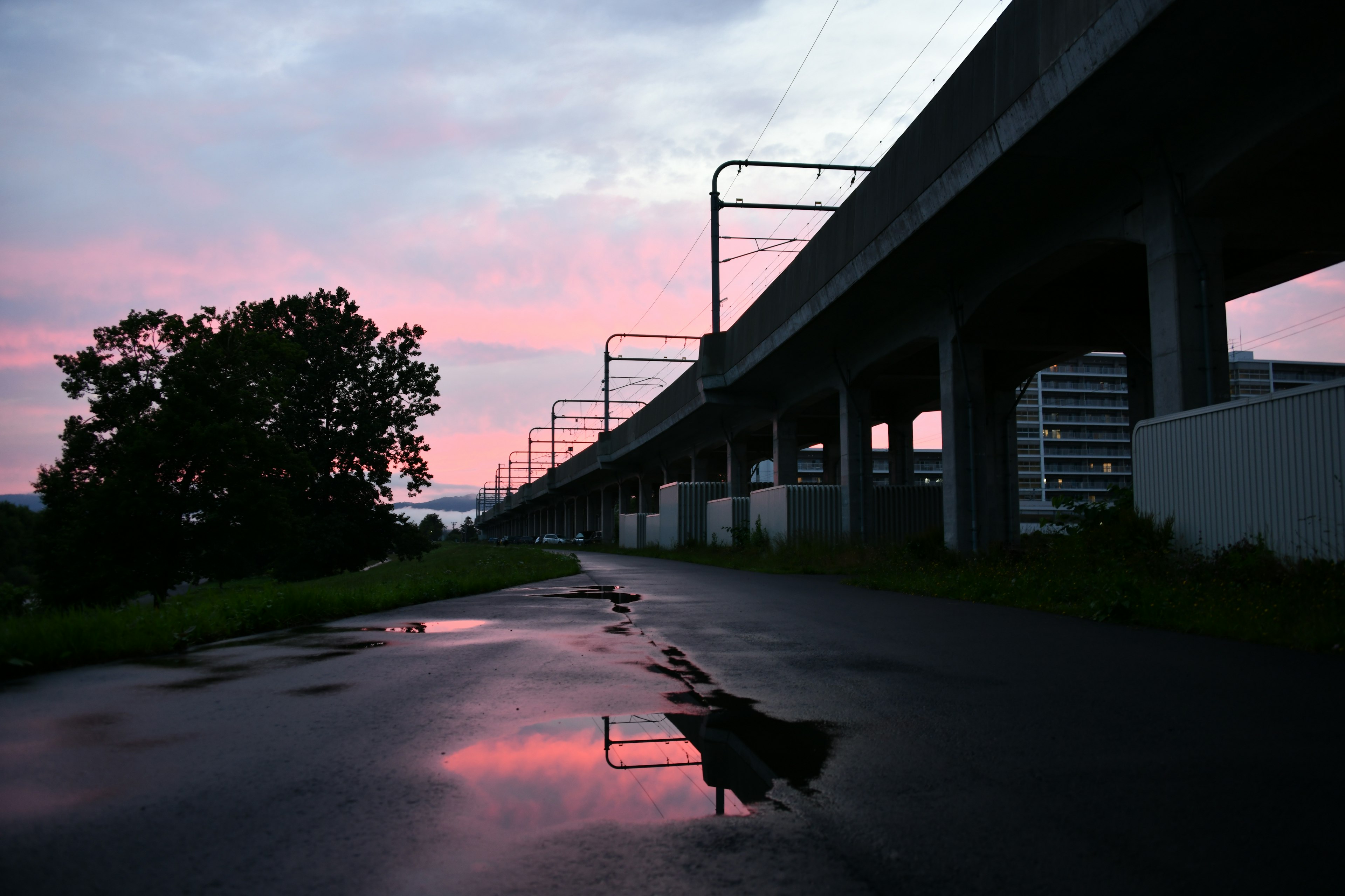 Silhouette of an elevated bridge against a sunset sky with a reflective puddle on the pavement