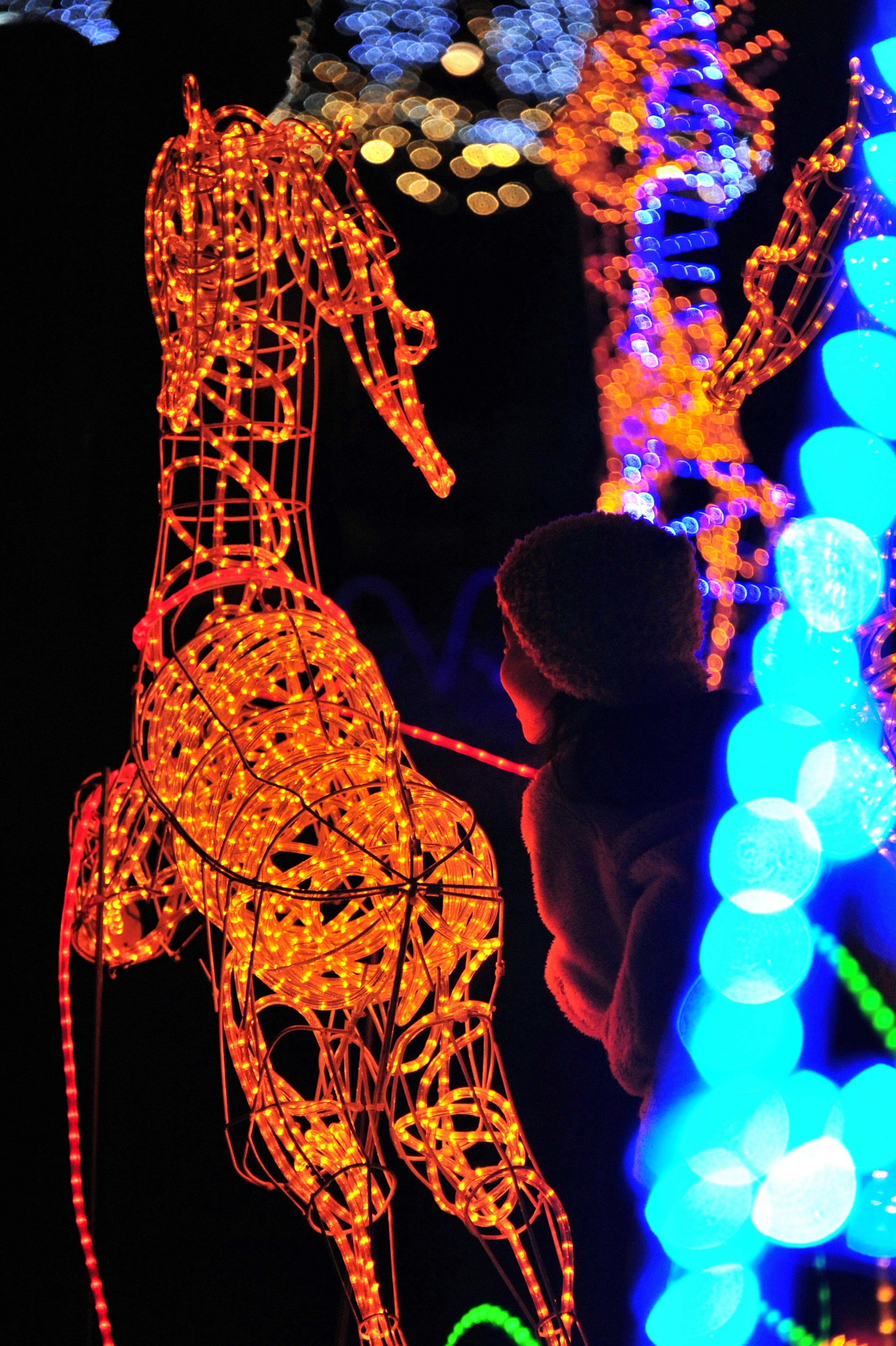 Sculture de cheval orange illuminé avec des lumières bleues en arrière-plan