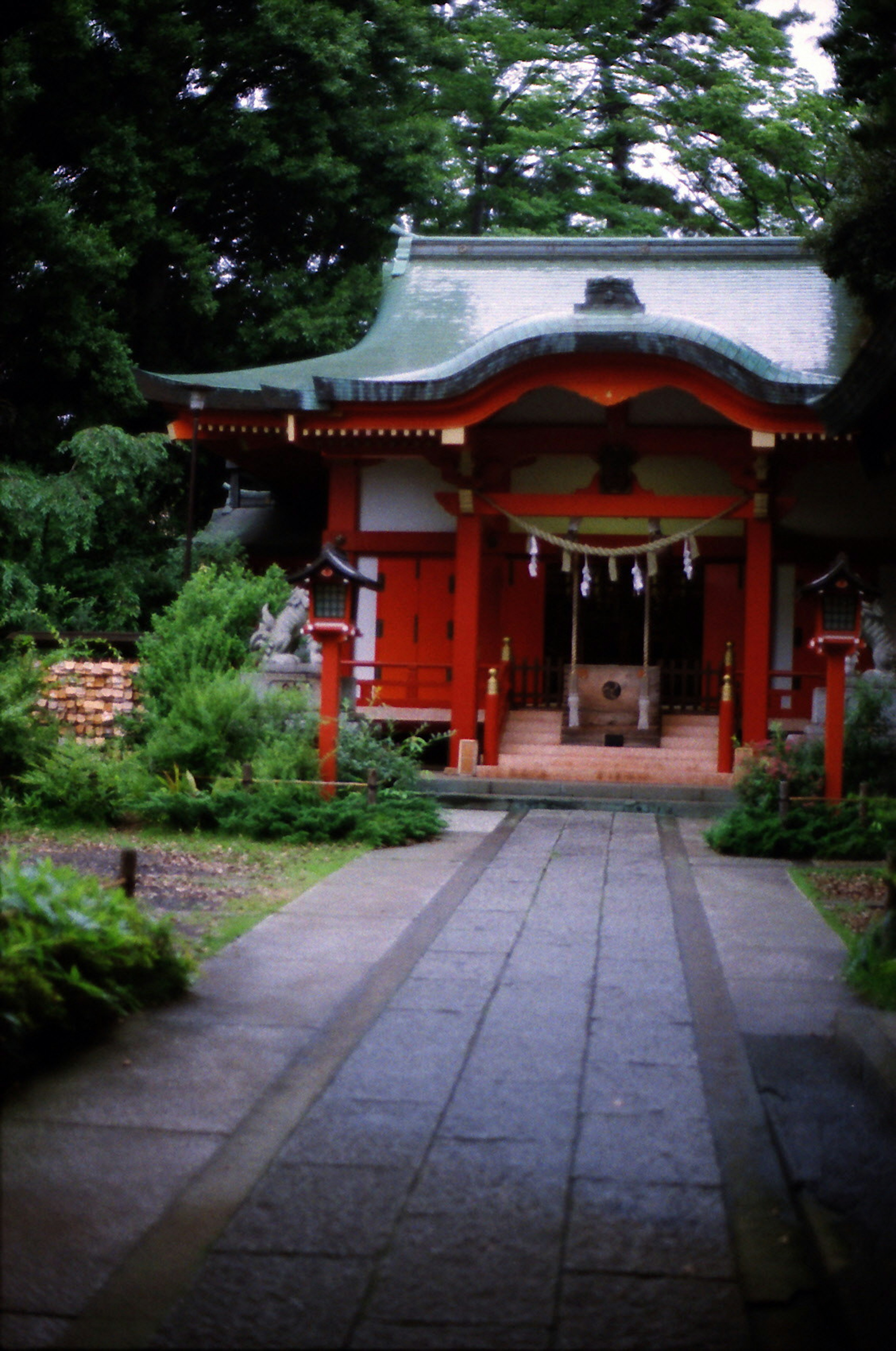 緑に囲まれた赤い神社の入り口と石の道