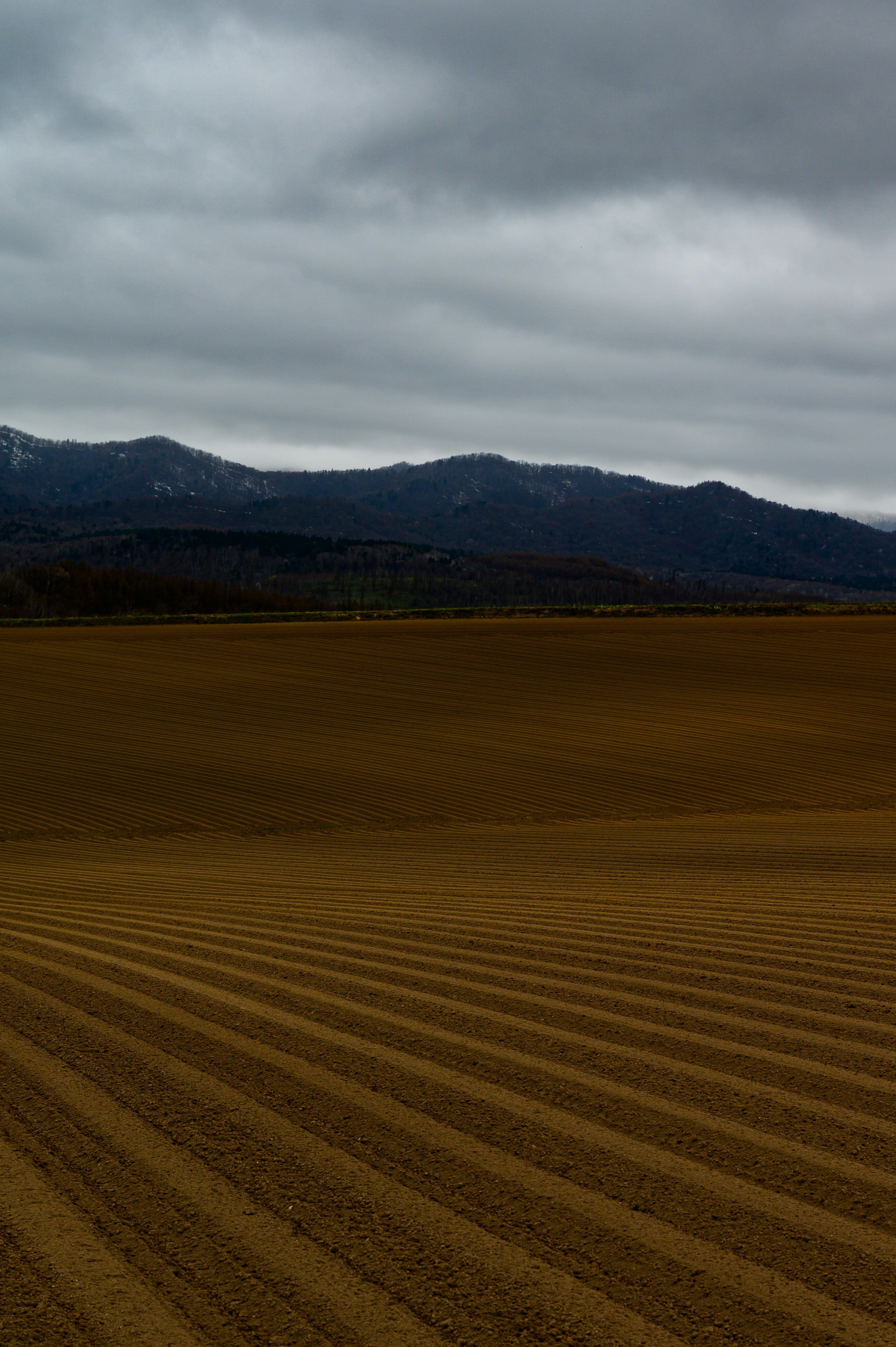 Paysage avec des champs en sillons sous un ciel nuageux et des montagnes en arrière-plan