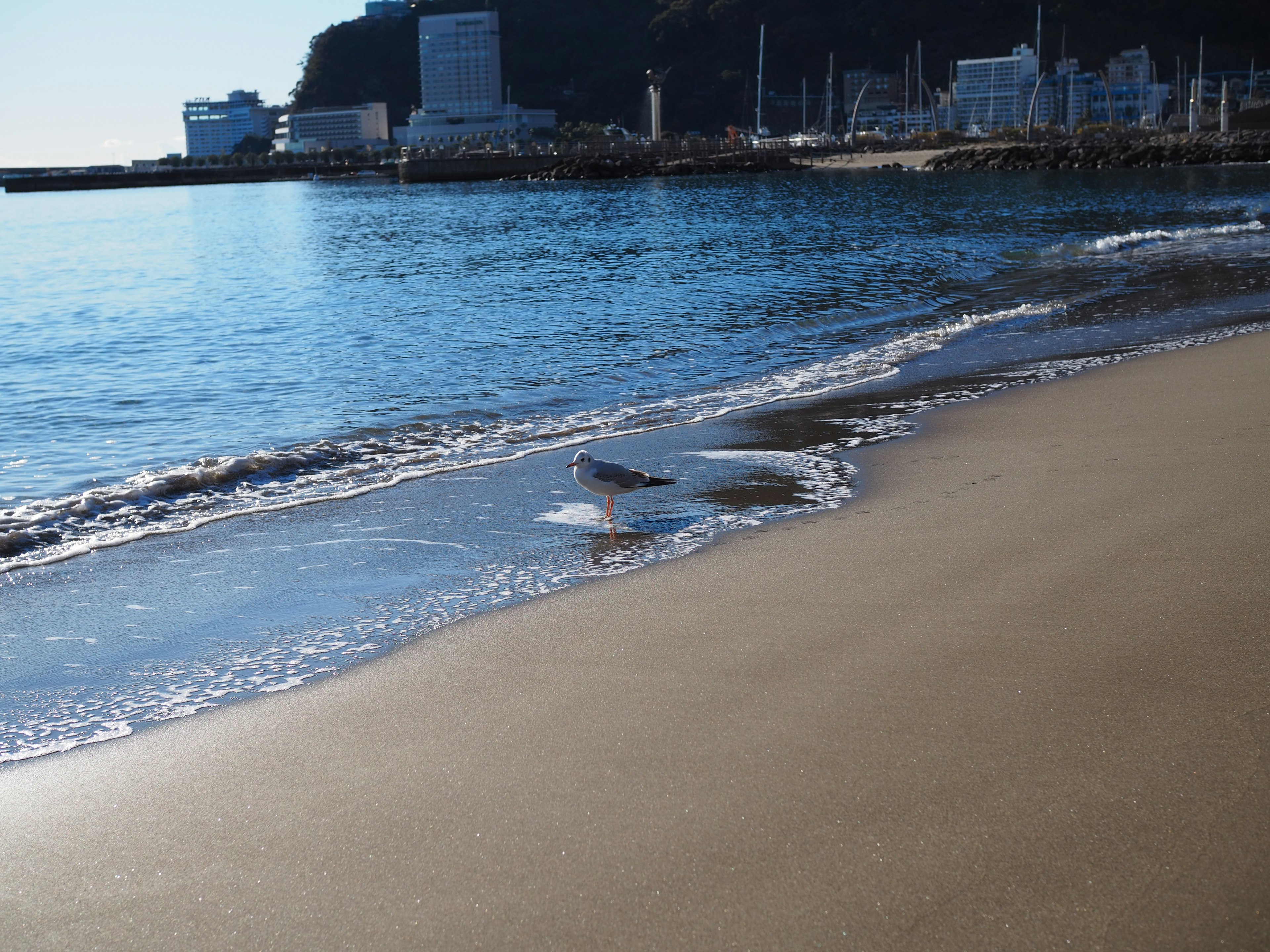 Sandy beach with gentle waves and coastal landscape