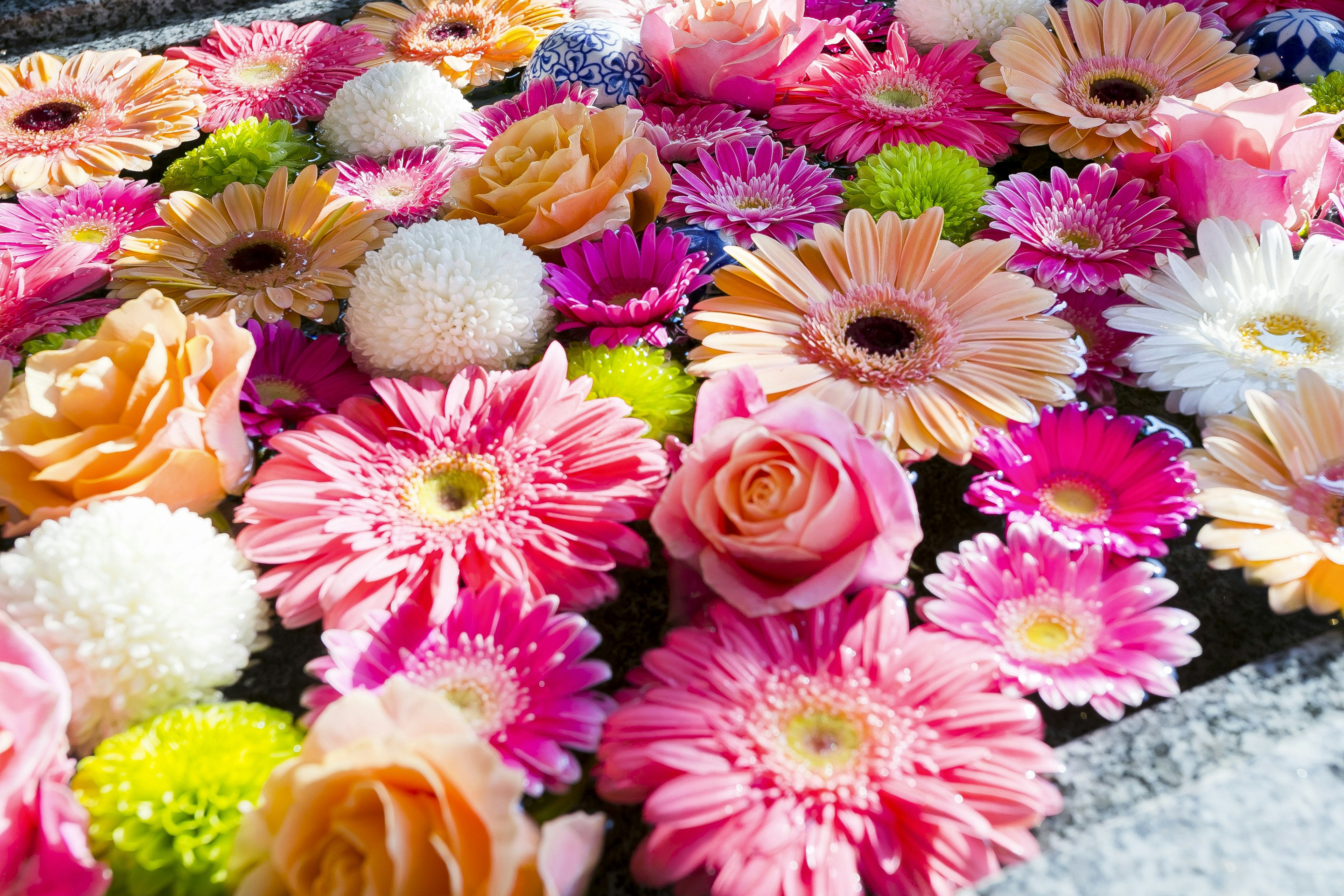 A vibrant arrangement of colorful flowers floating on water