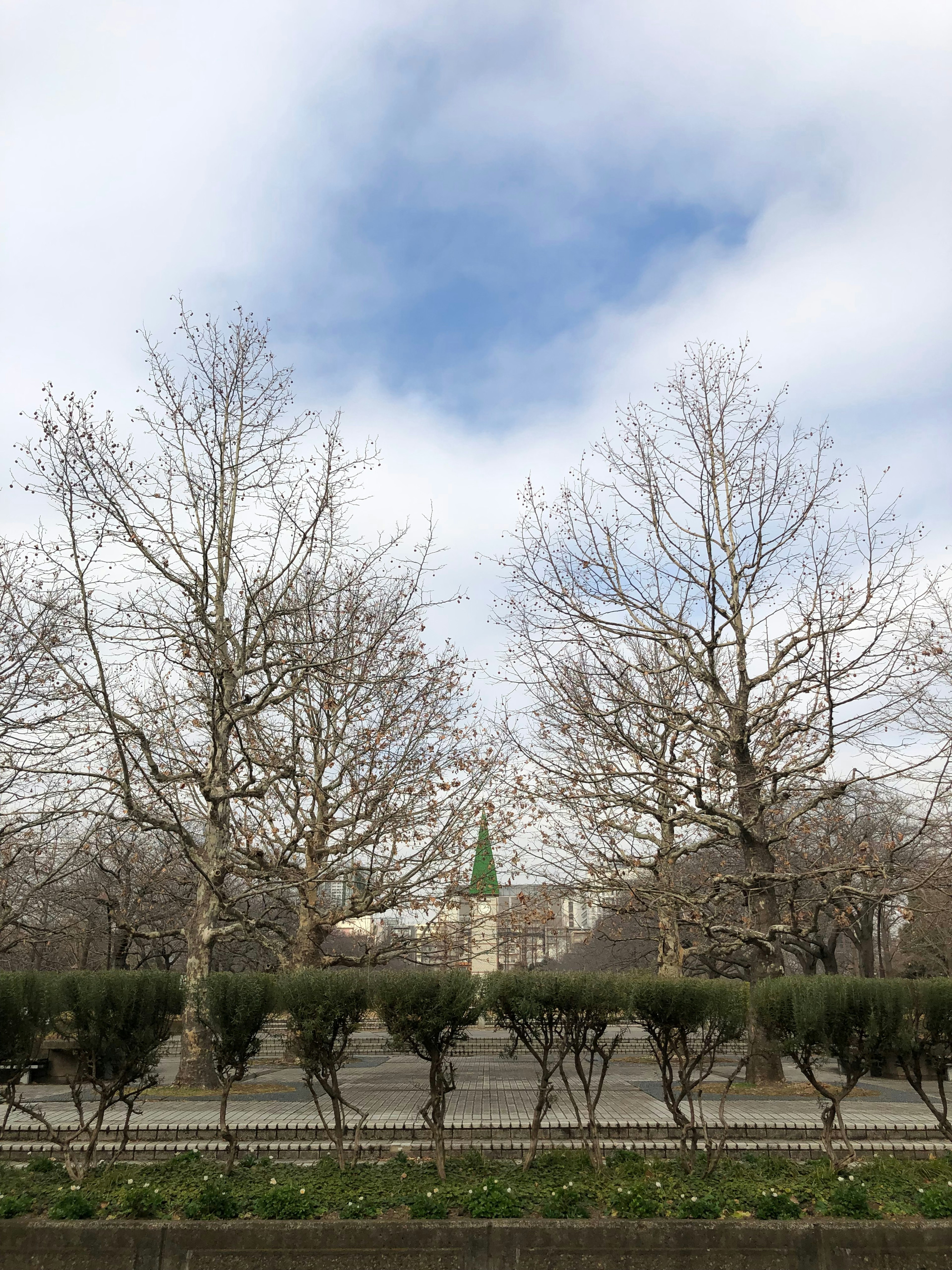 Park scene with bare trees and a clear blue sky