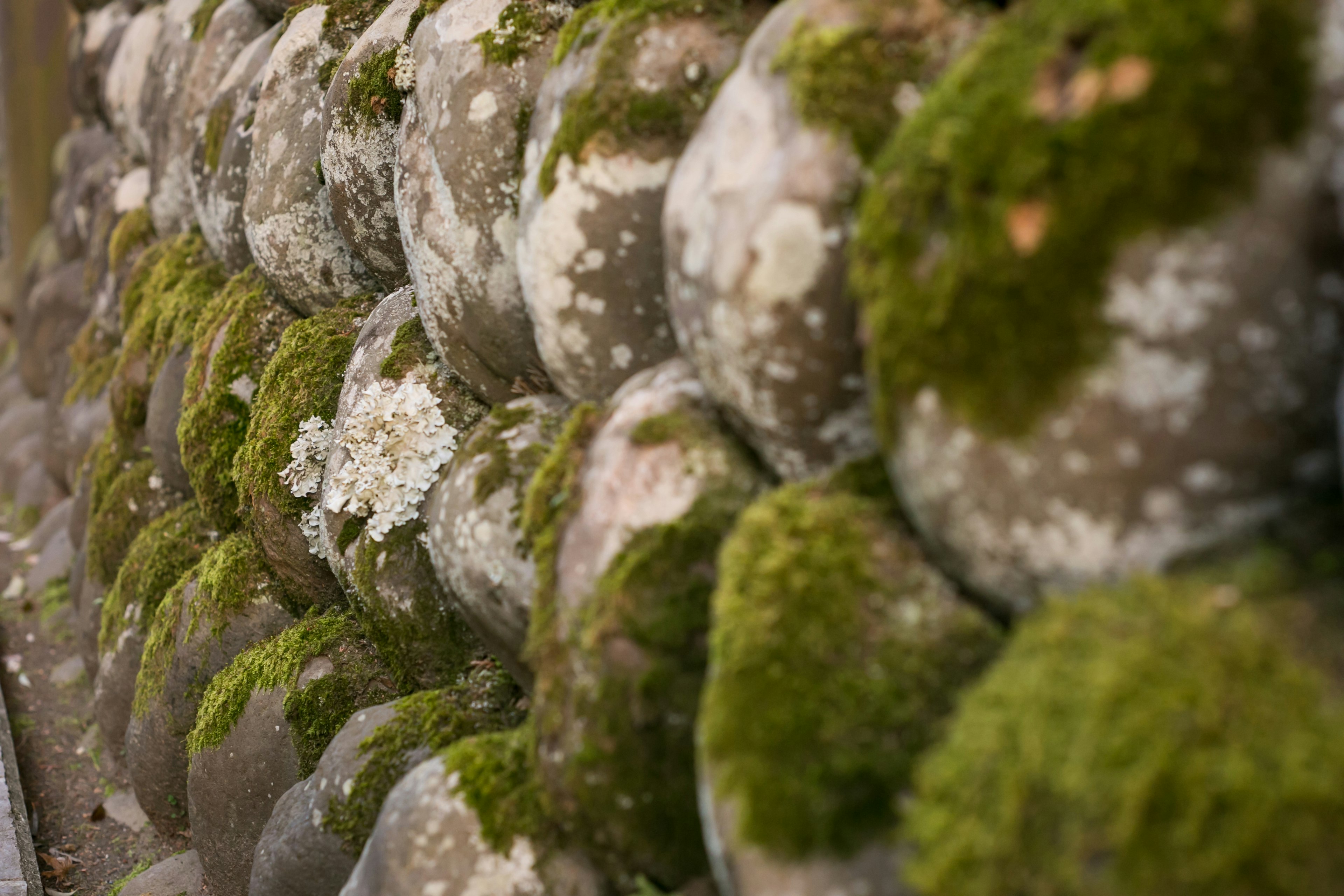 Gros plan d'un mur en pierres couvertes de mousse montrant diverses textures