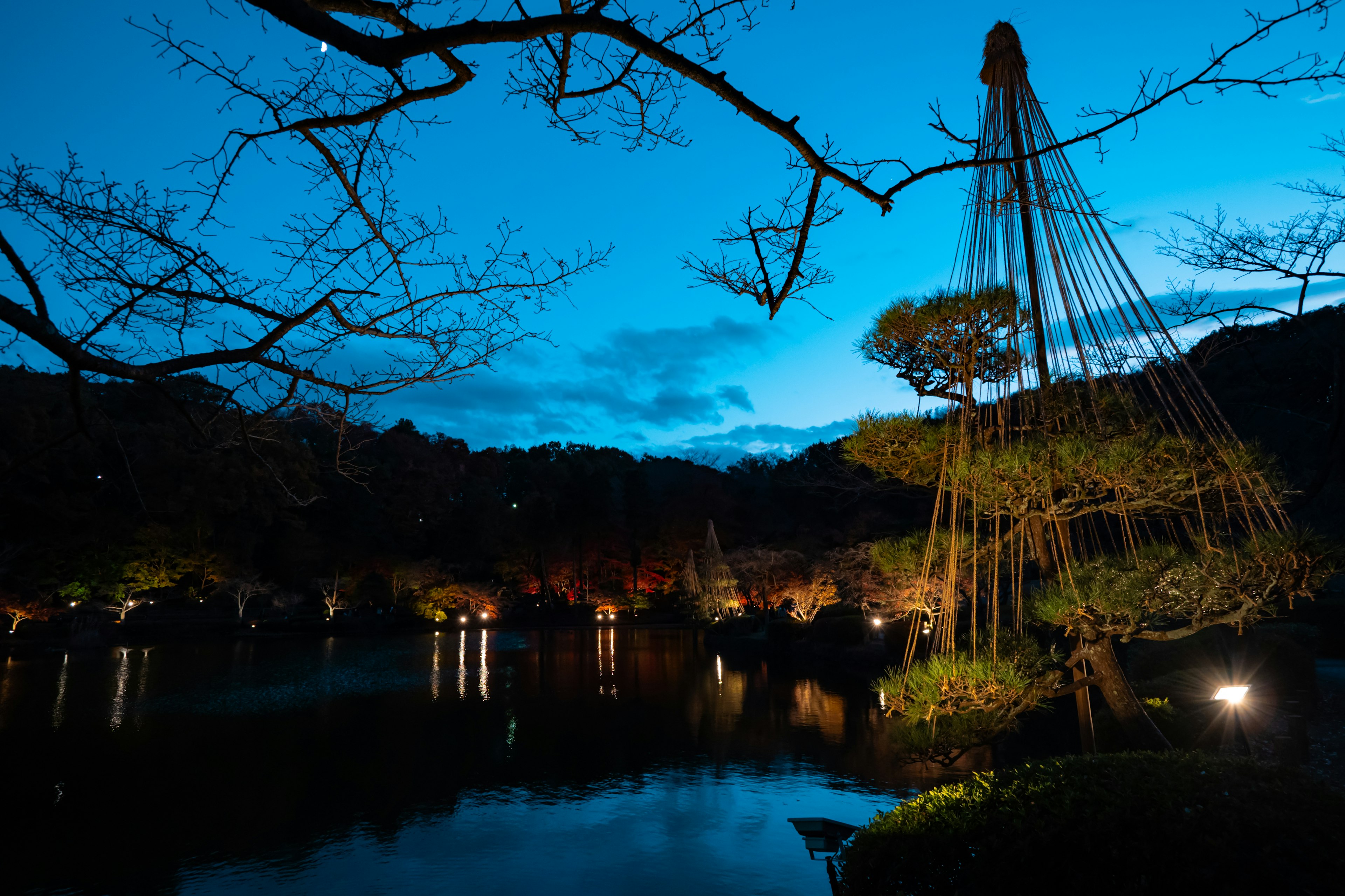 Escena de jardín japonés con un estanque y árboles iluminados bajo un cielo azul