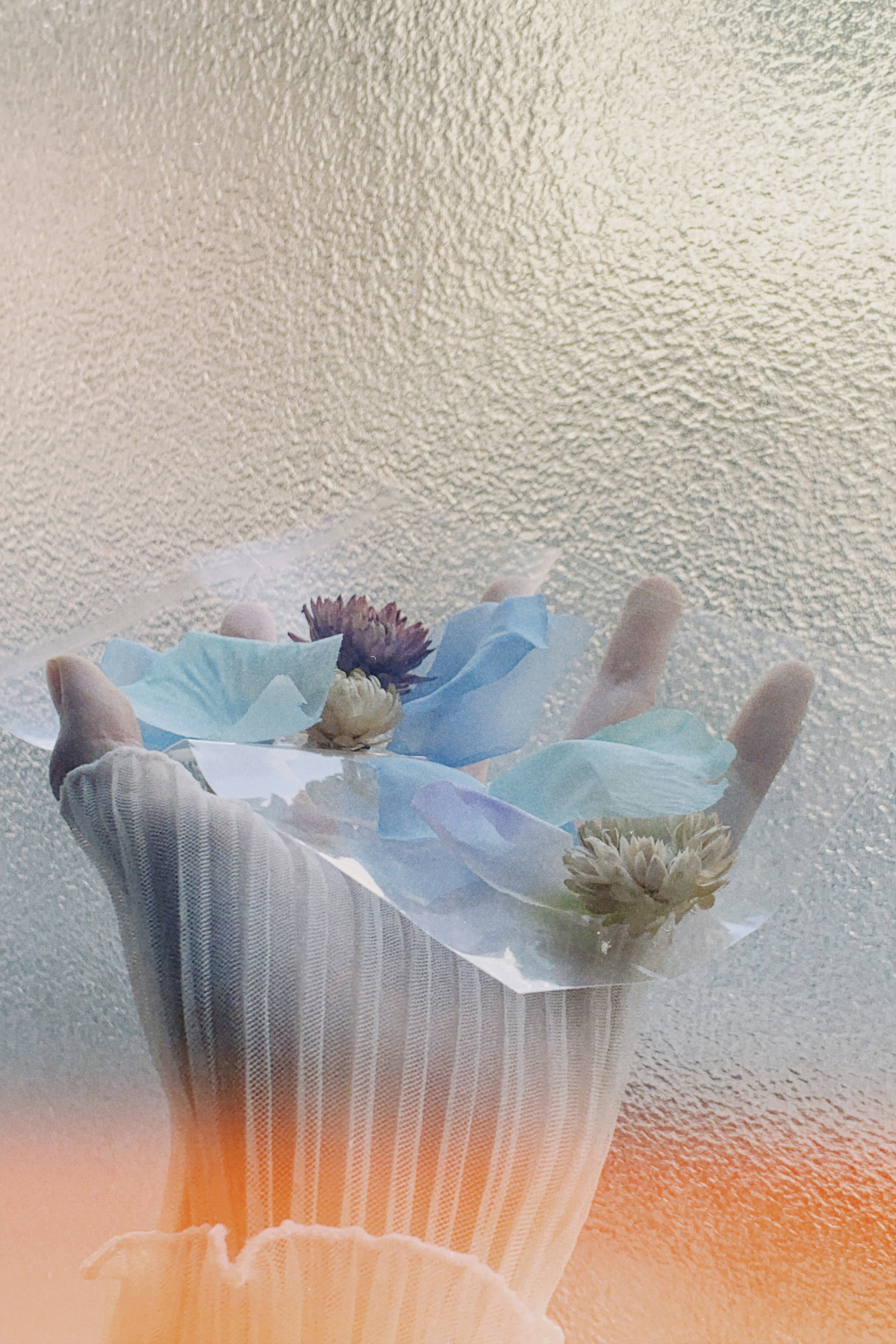 A hand holding delicate blue flowers wrapped in translucent material