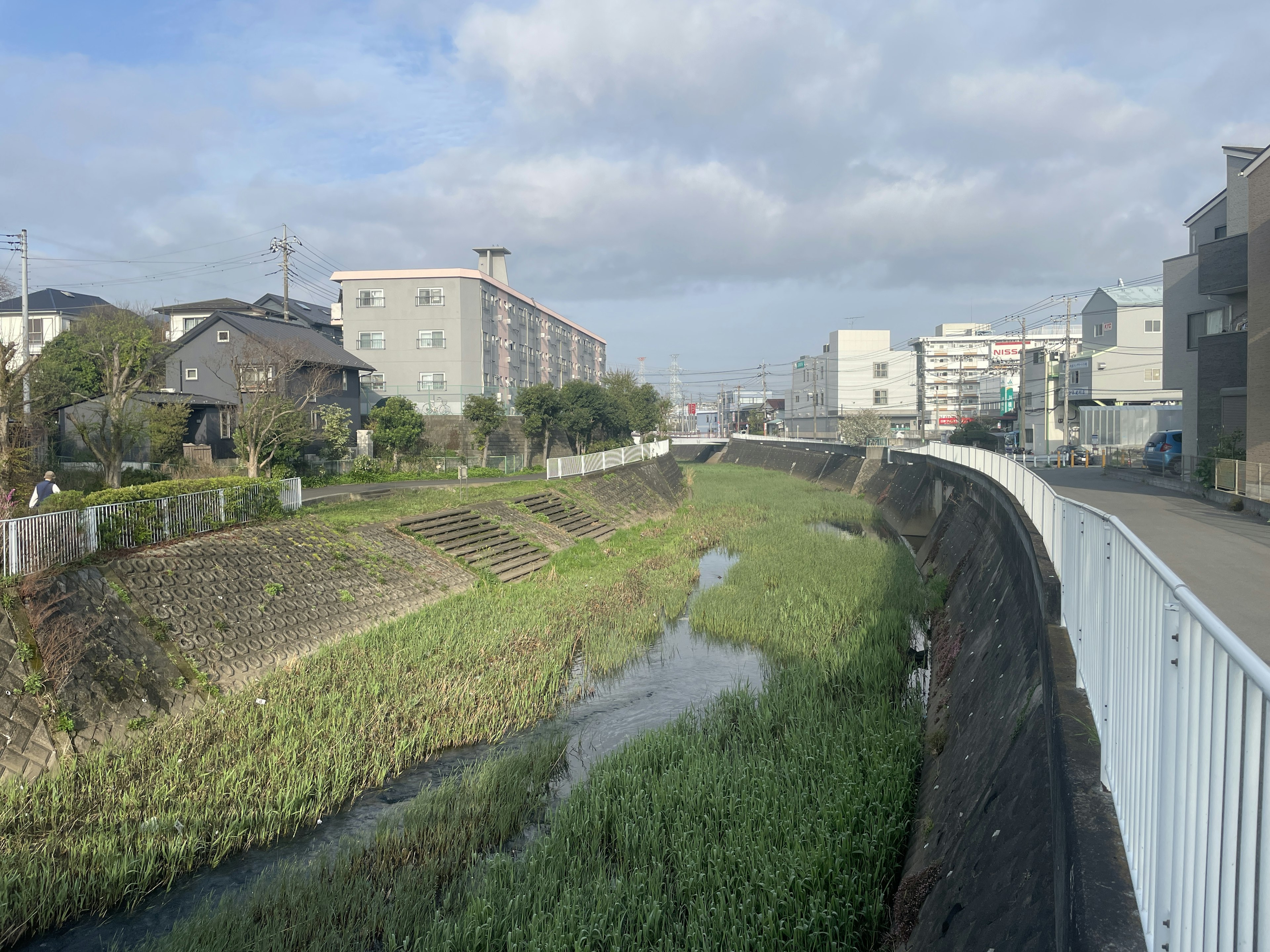 Paesaggio fluviale rigoglioso con edifici lungo la strada