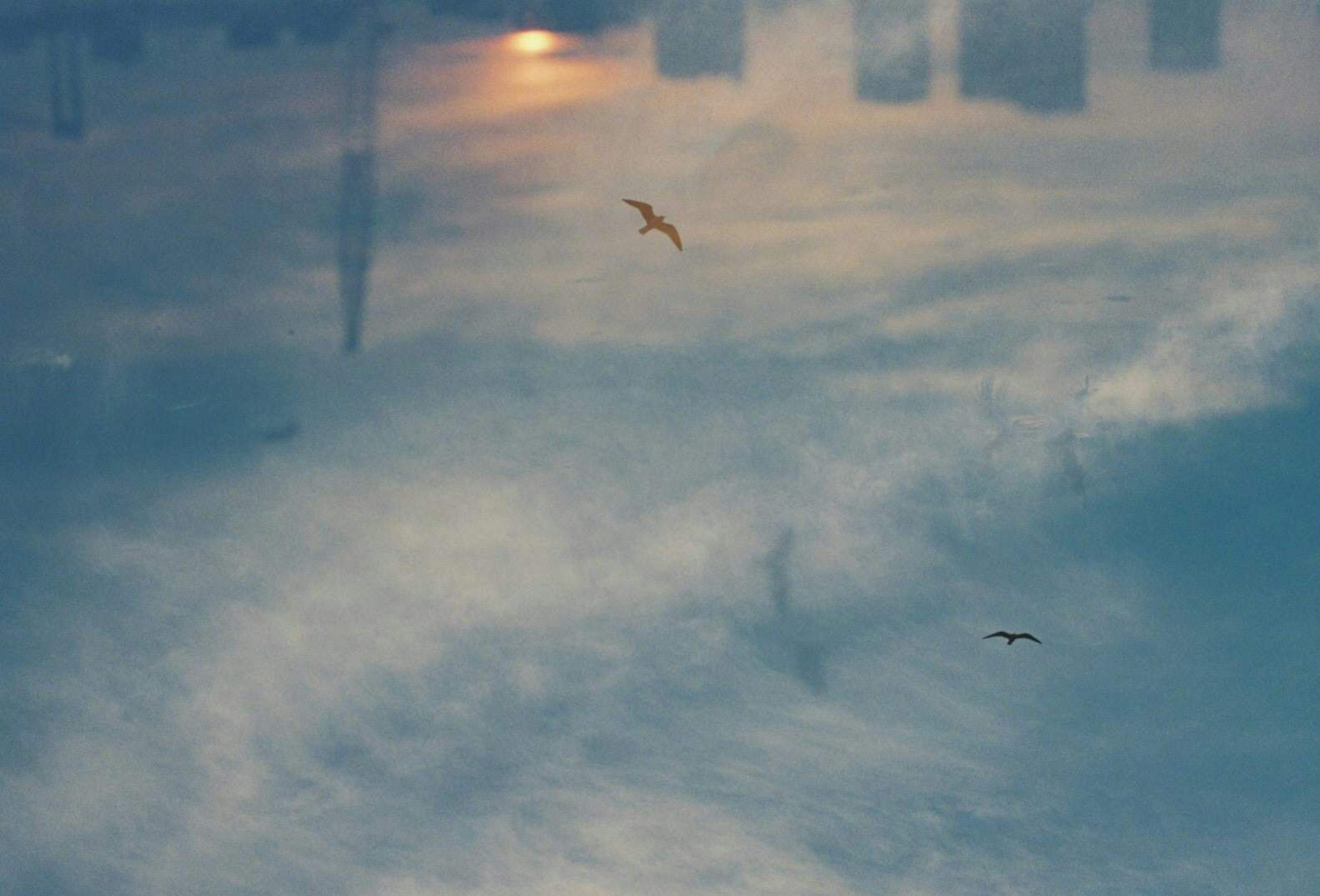 Pemandangan dengan burung terbang melalui refleksi di langit biru dan awan