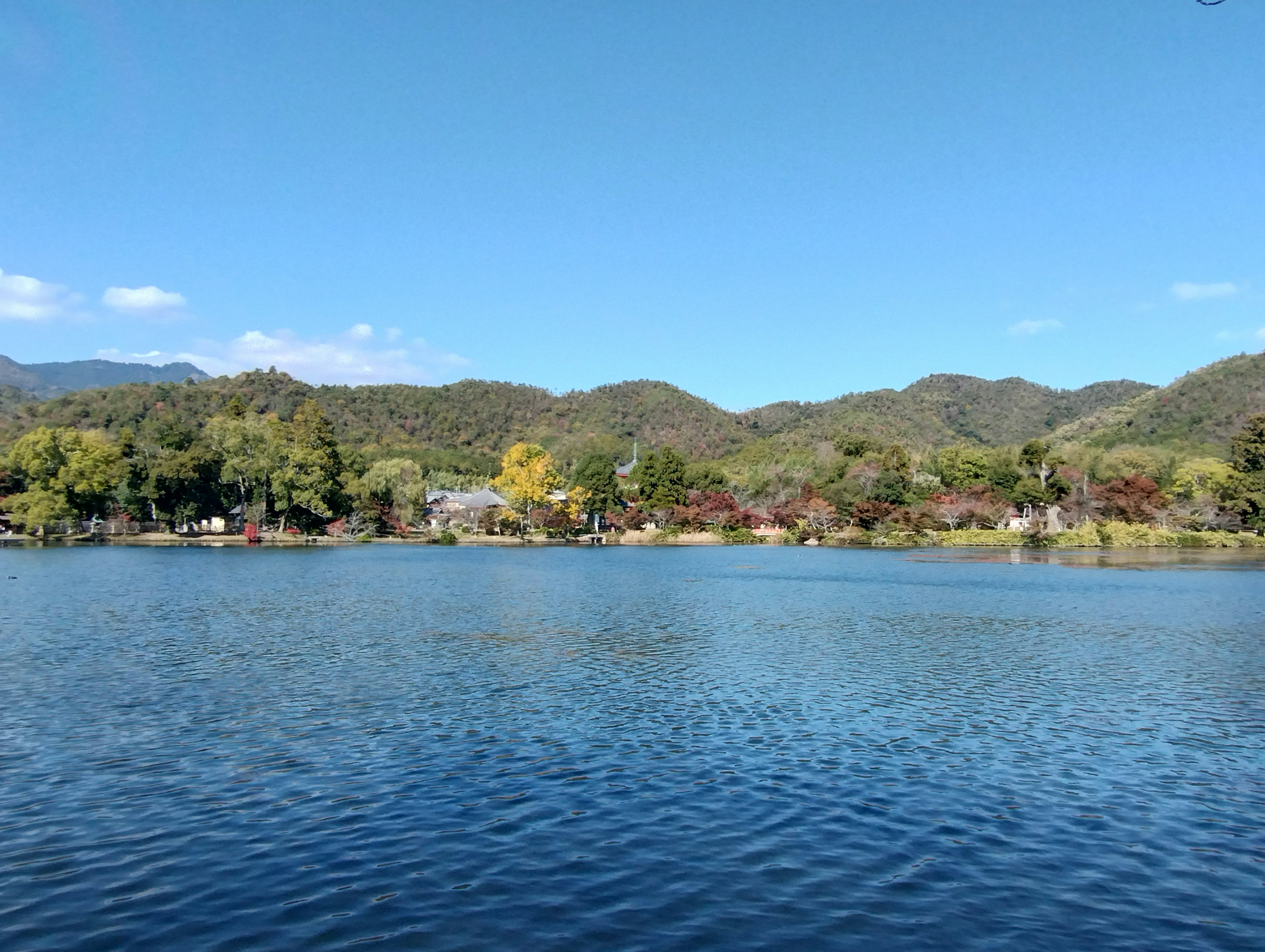 藍色湖泊周圍環繞著山丘和樹木的風景