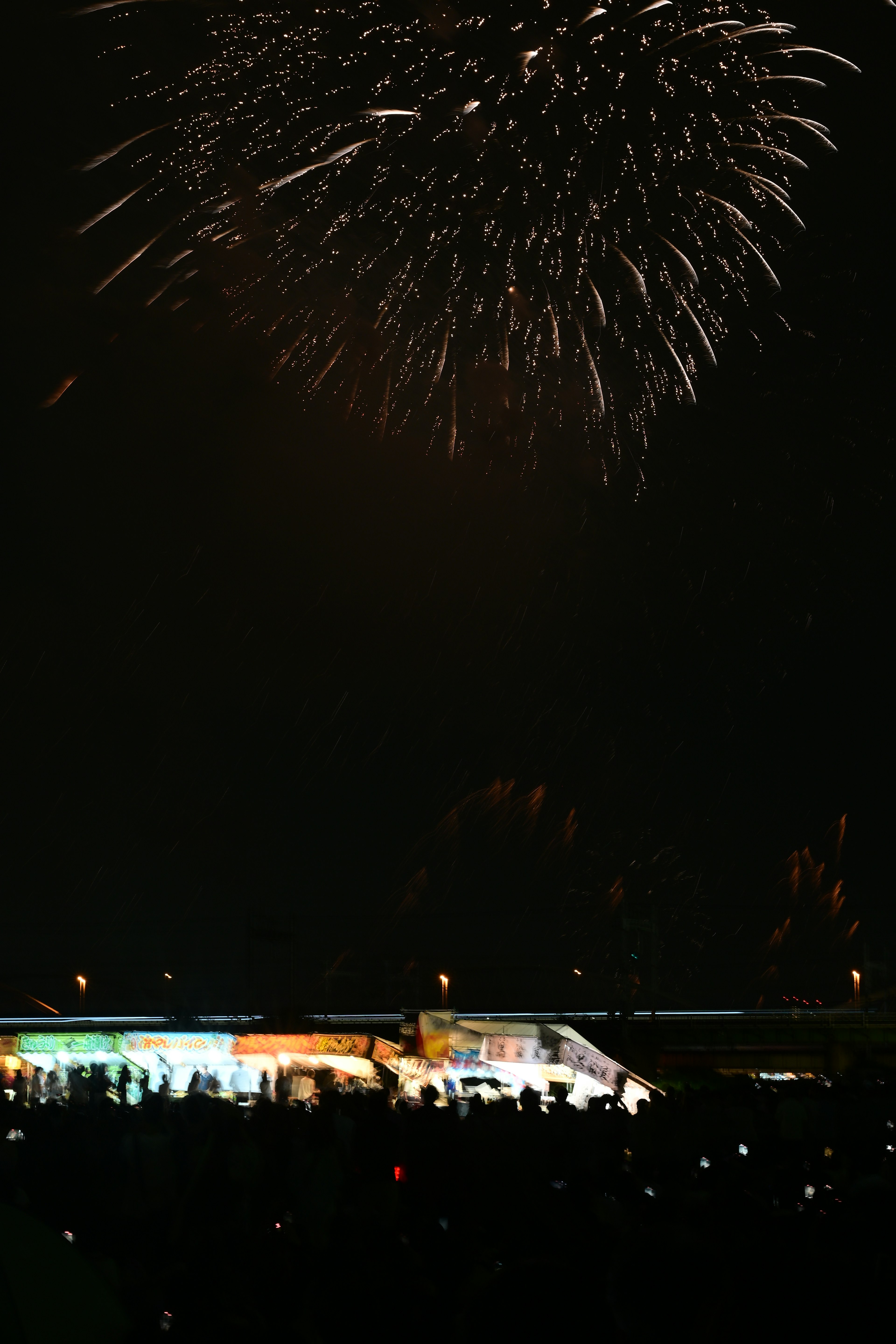 Espectáculo de fuegos artificiales en el cielo nocturno con una multitud mirando