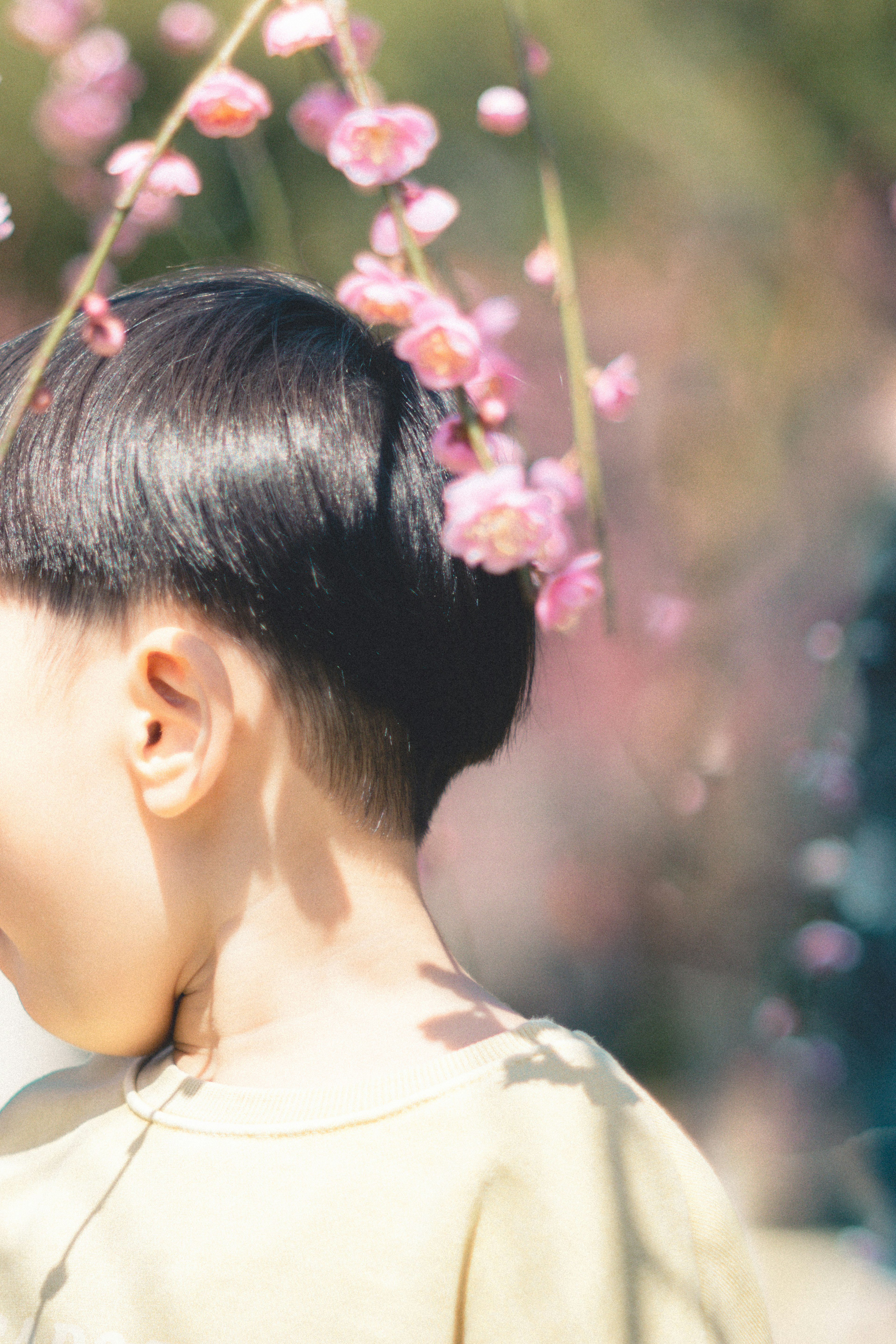 Child with a short haircut surrounded by cherry blossoms in a spring setting