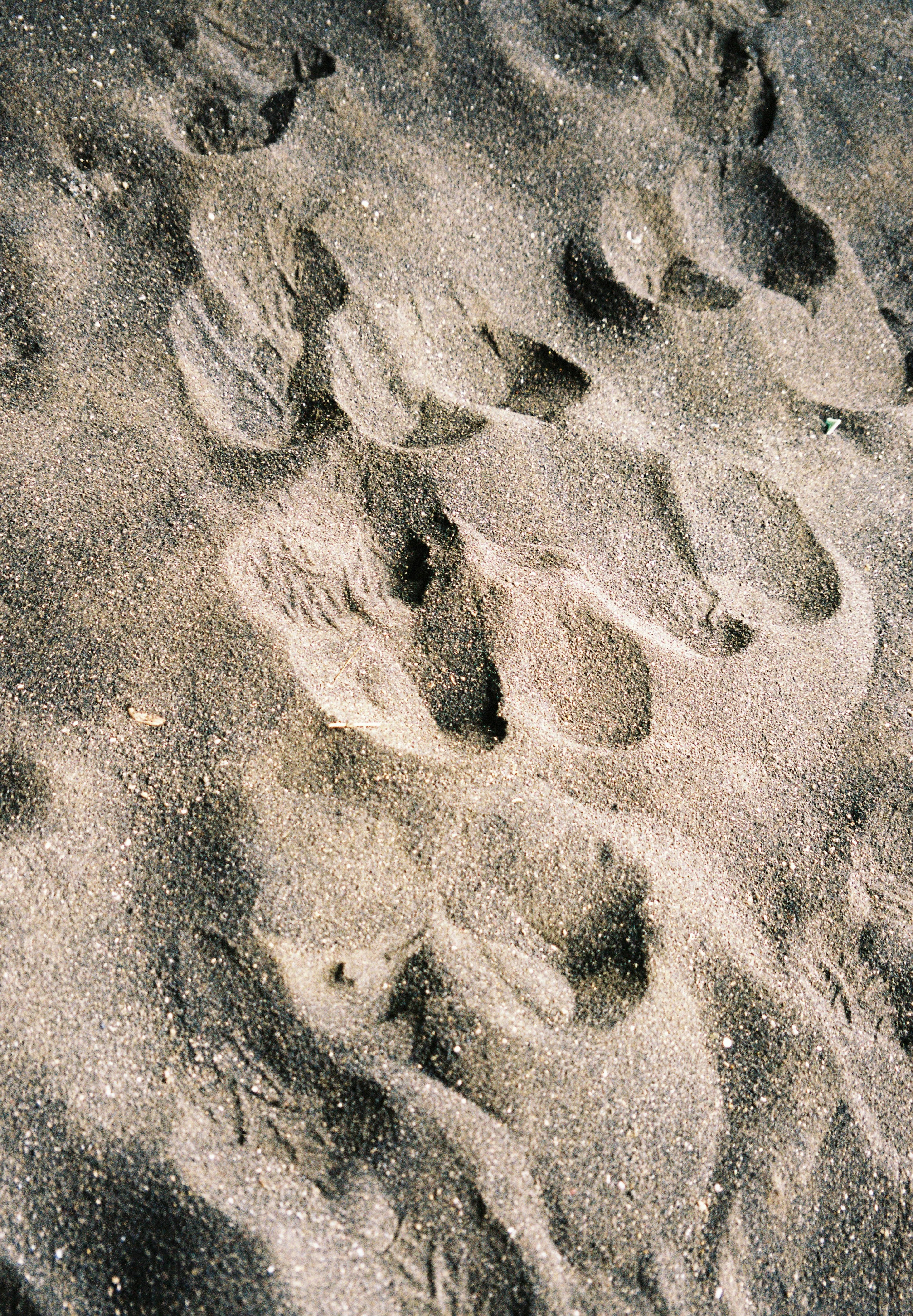 Gros plan d'empreintes sur une plage de sable