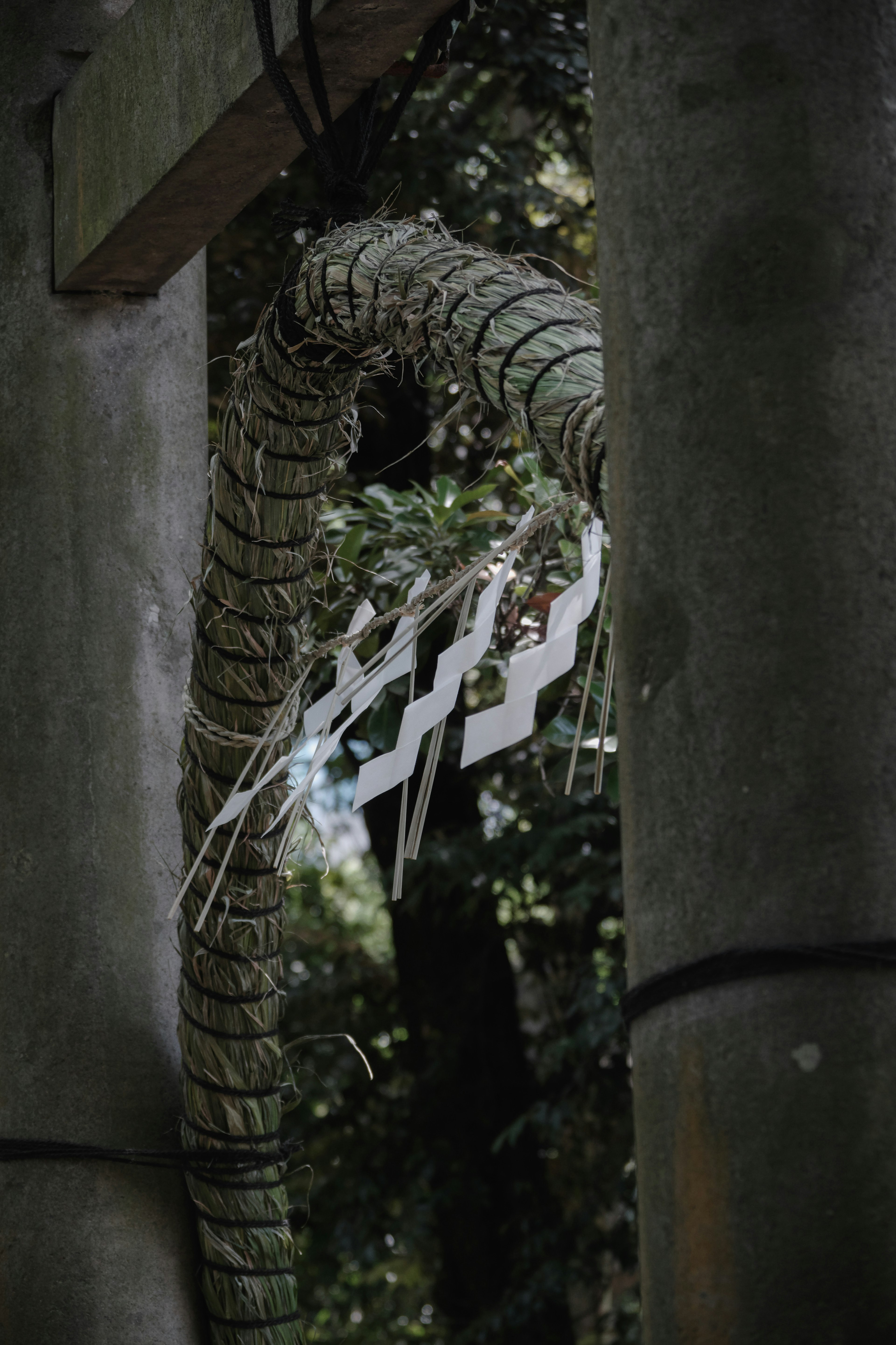 Parte di un torii con shimenawa in uno sfondo verde lussureggiante