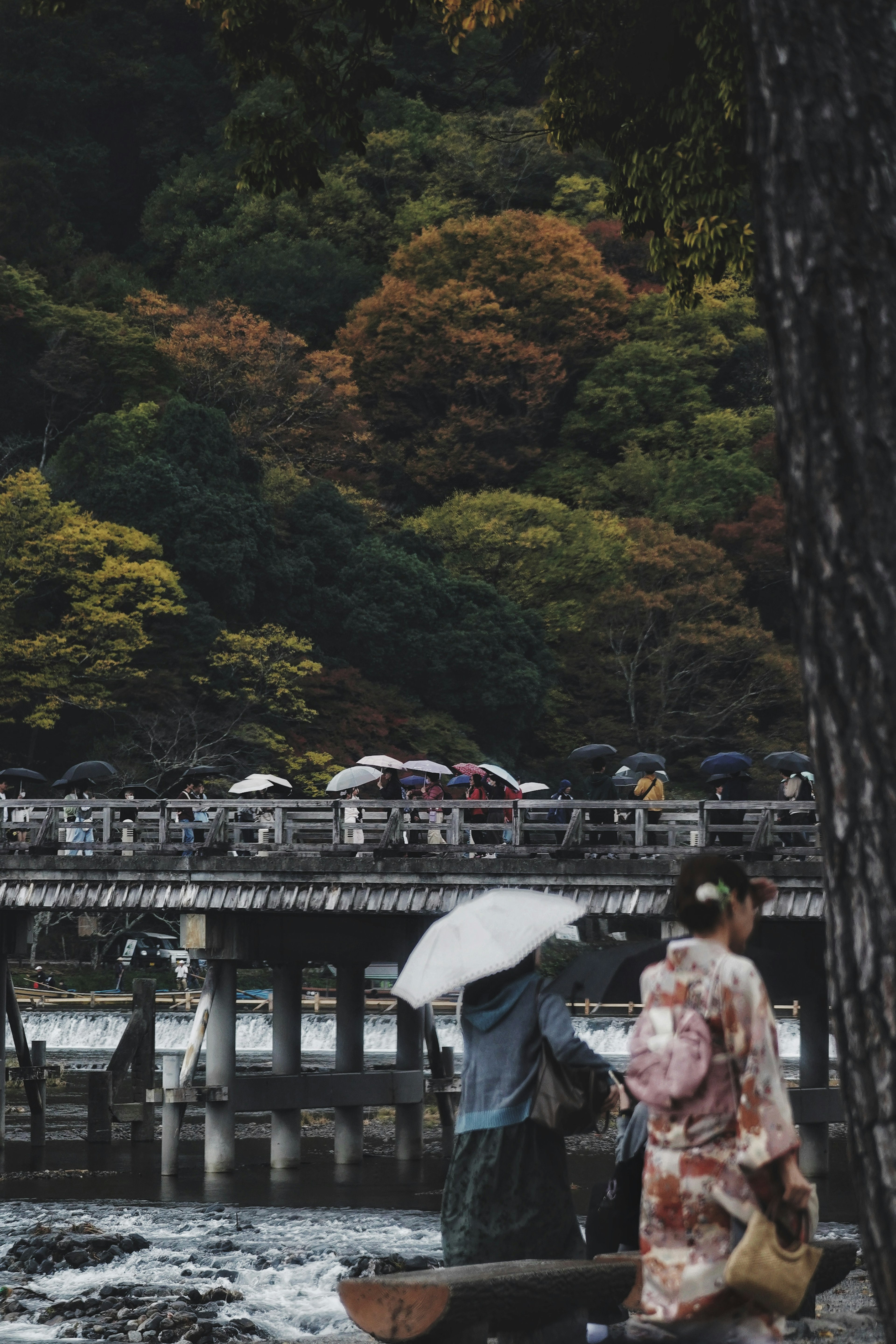 Eine Frau im Kimono, die einen Regenschirm in einer schönen herbstlichen Landschaft hält