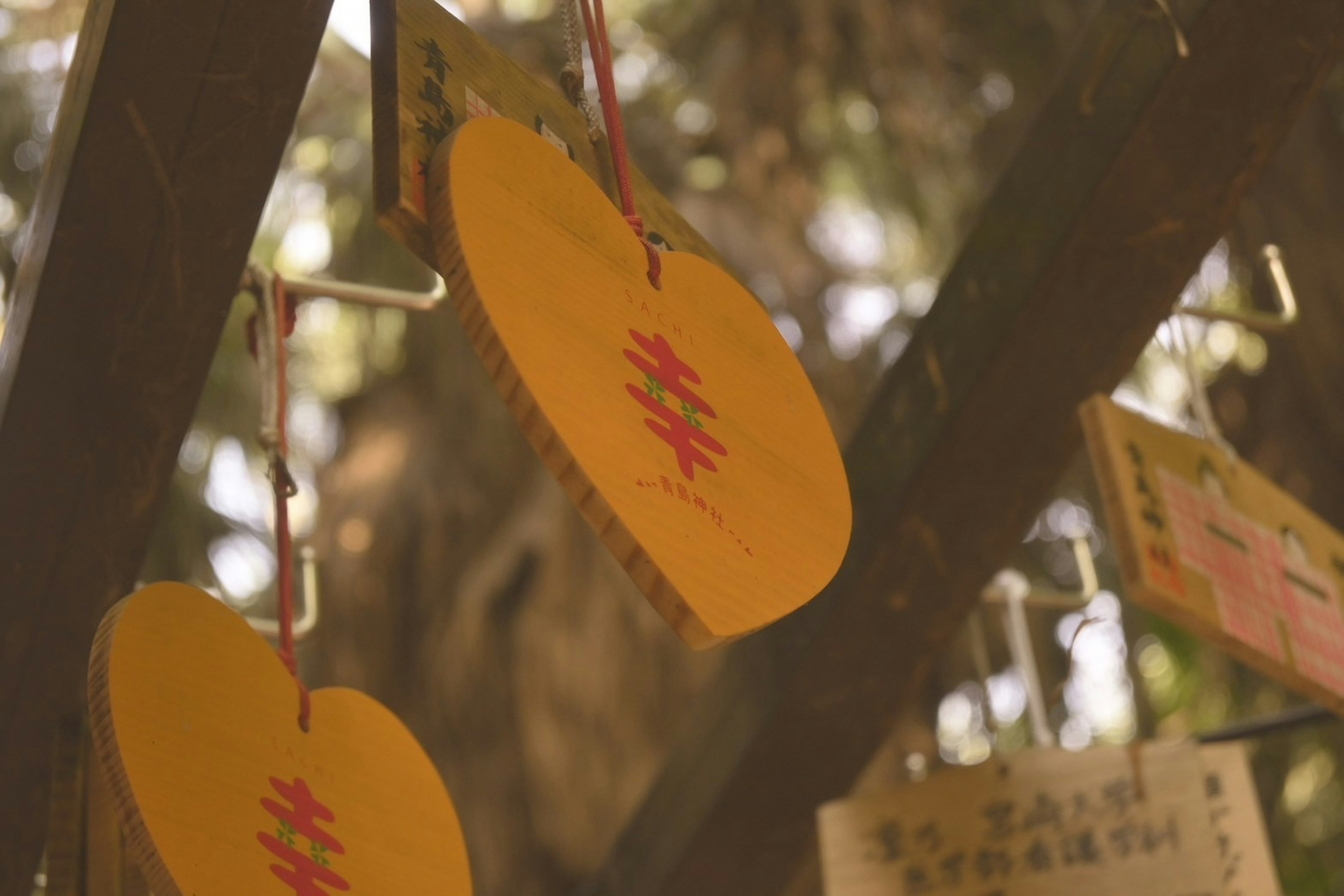 Yellow heart-shaped ema hanging from a tree