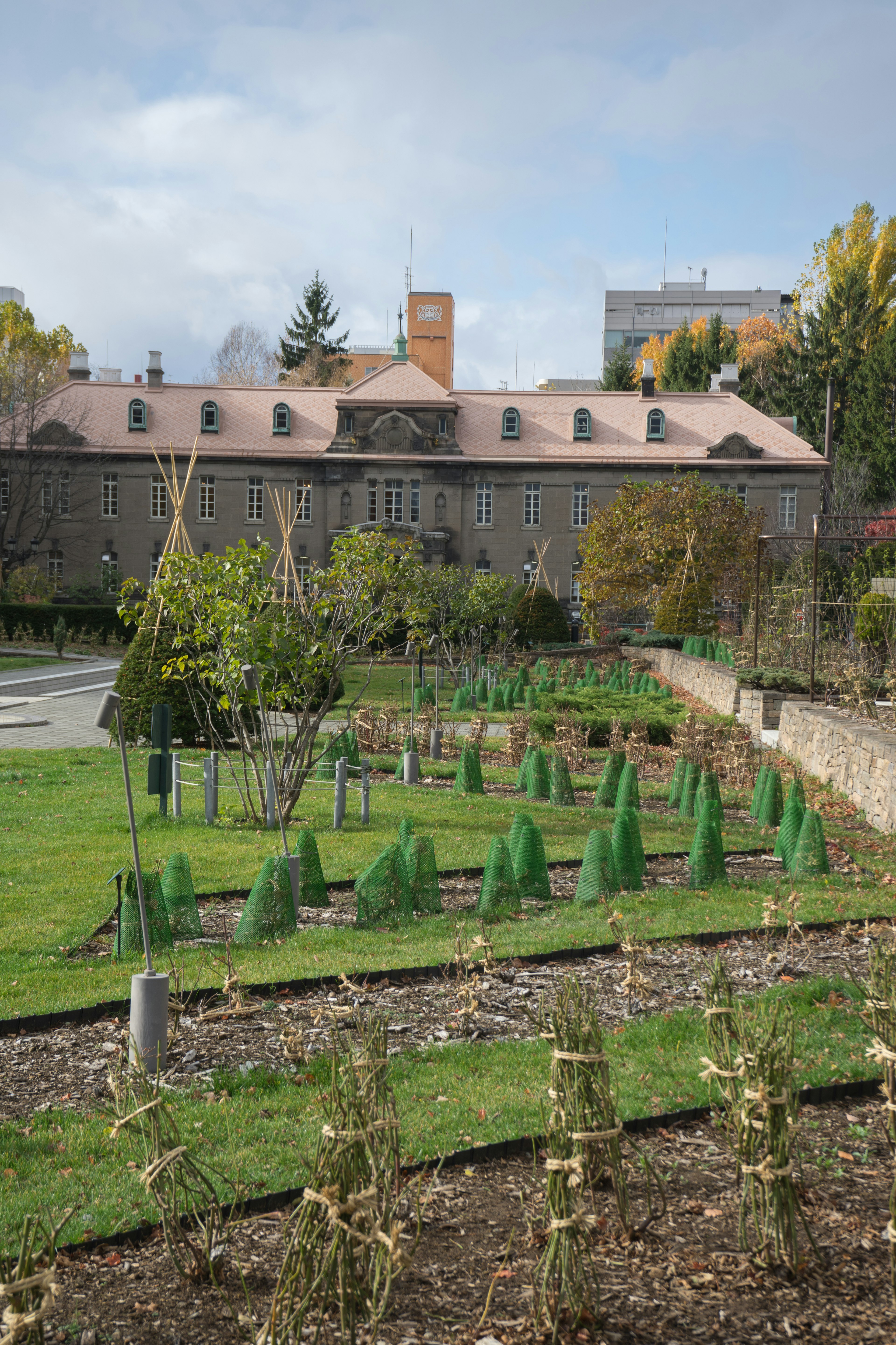 A landscaped garden with green plants and a stone building in the background