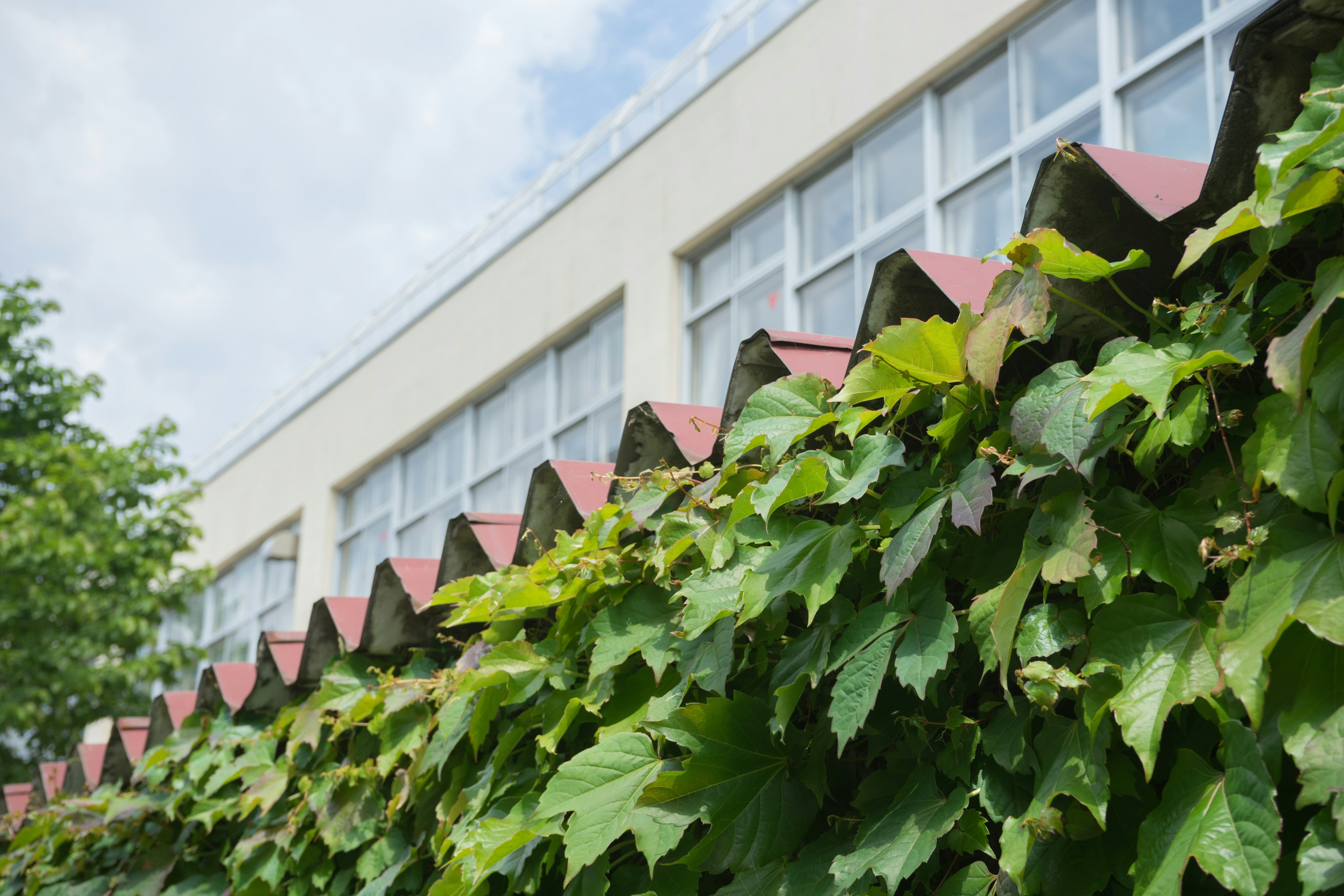 Côté d'un bâtiment avec un toit rouge et des feuilles vertes luxuriantes sous un ciel bleu