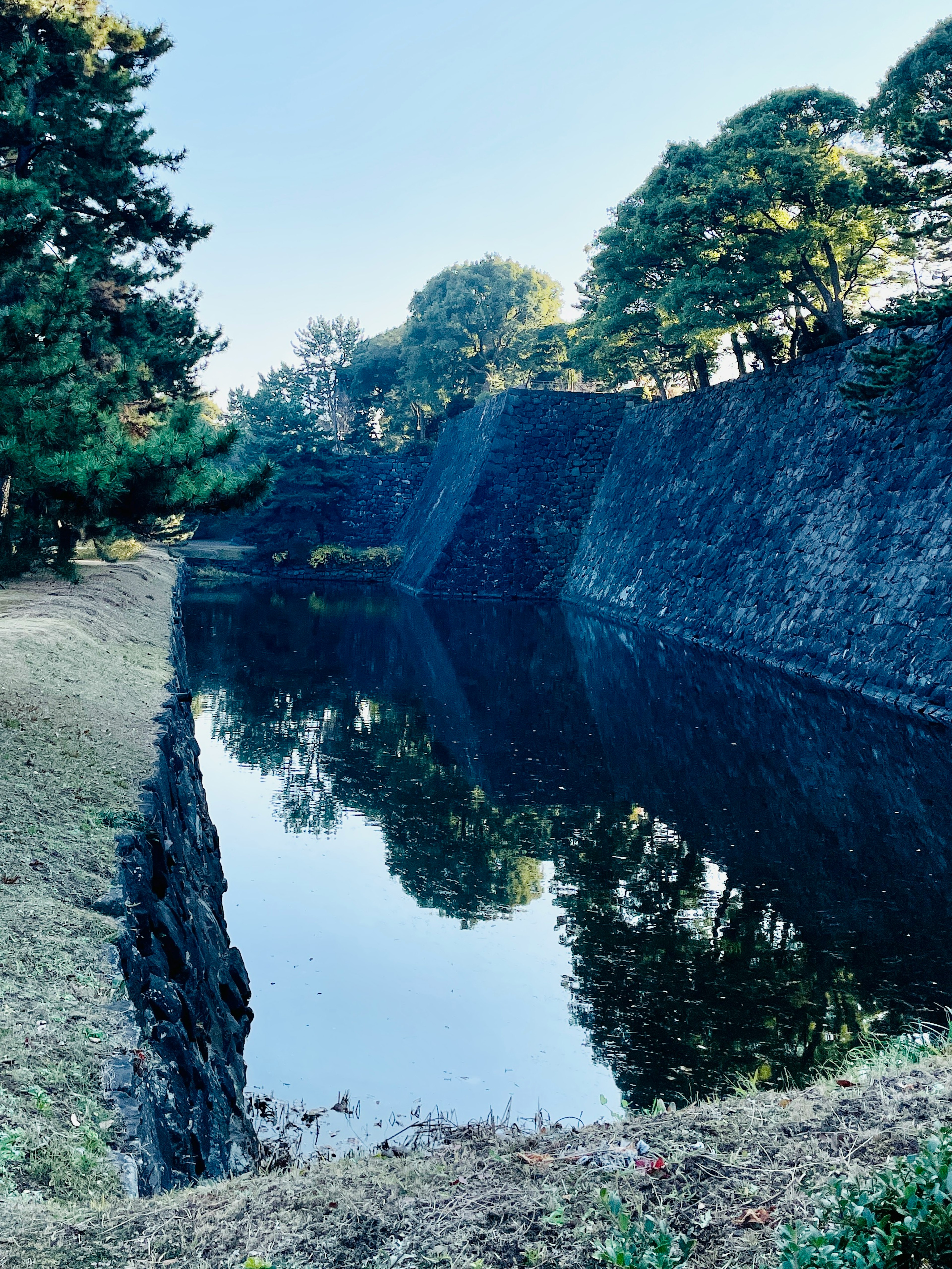 静かな水面と石垣のある歴史的な城跡の風景