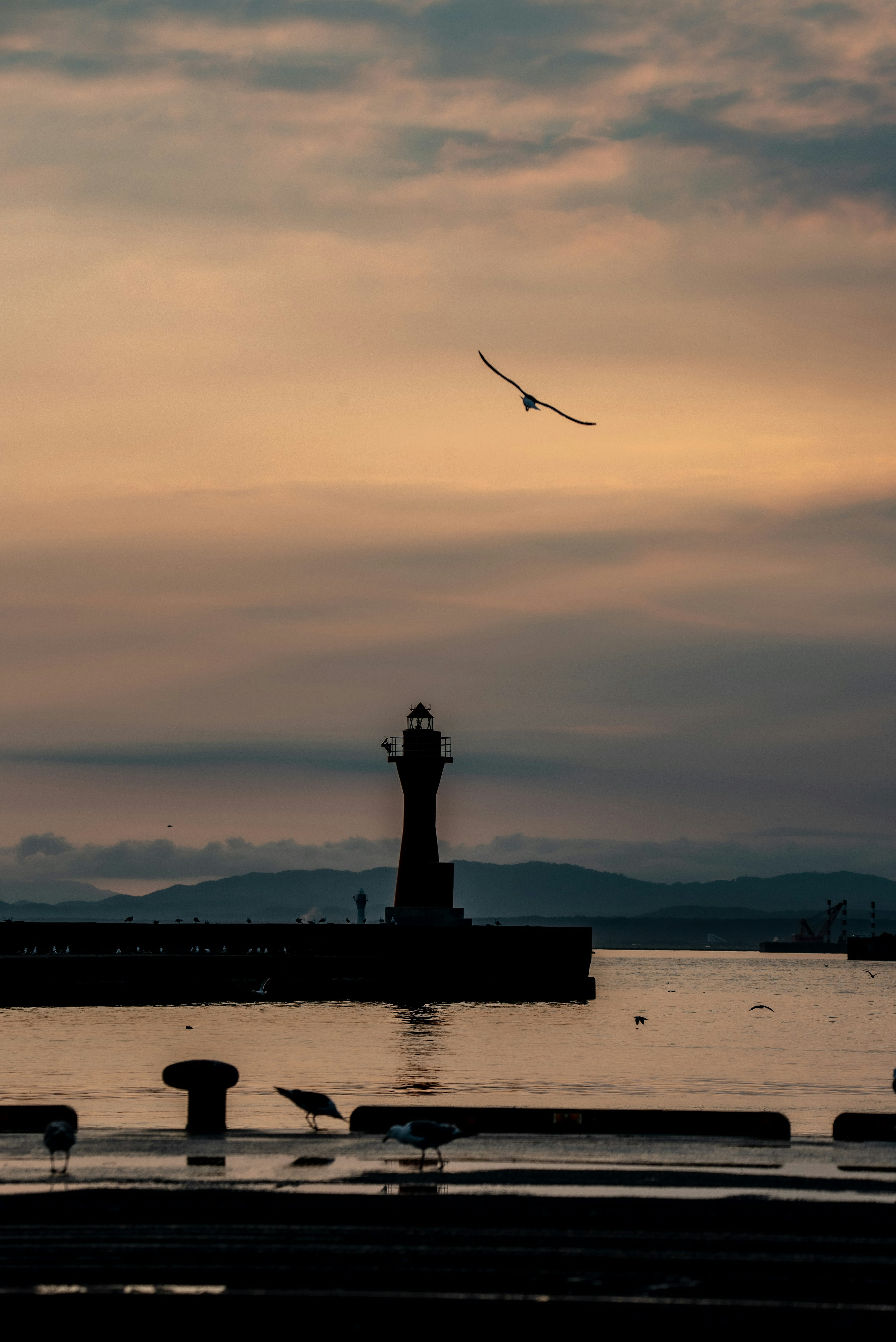 夕焼け空の中に立つ灯台と飛ぶ鳥のシルエット