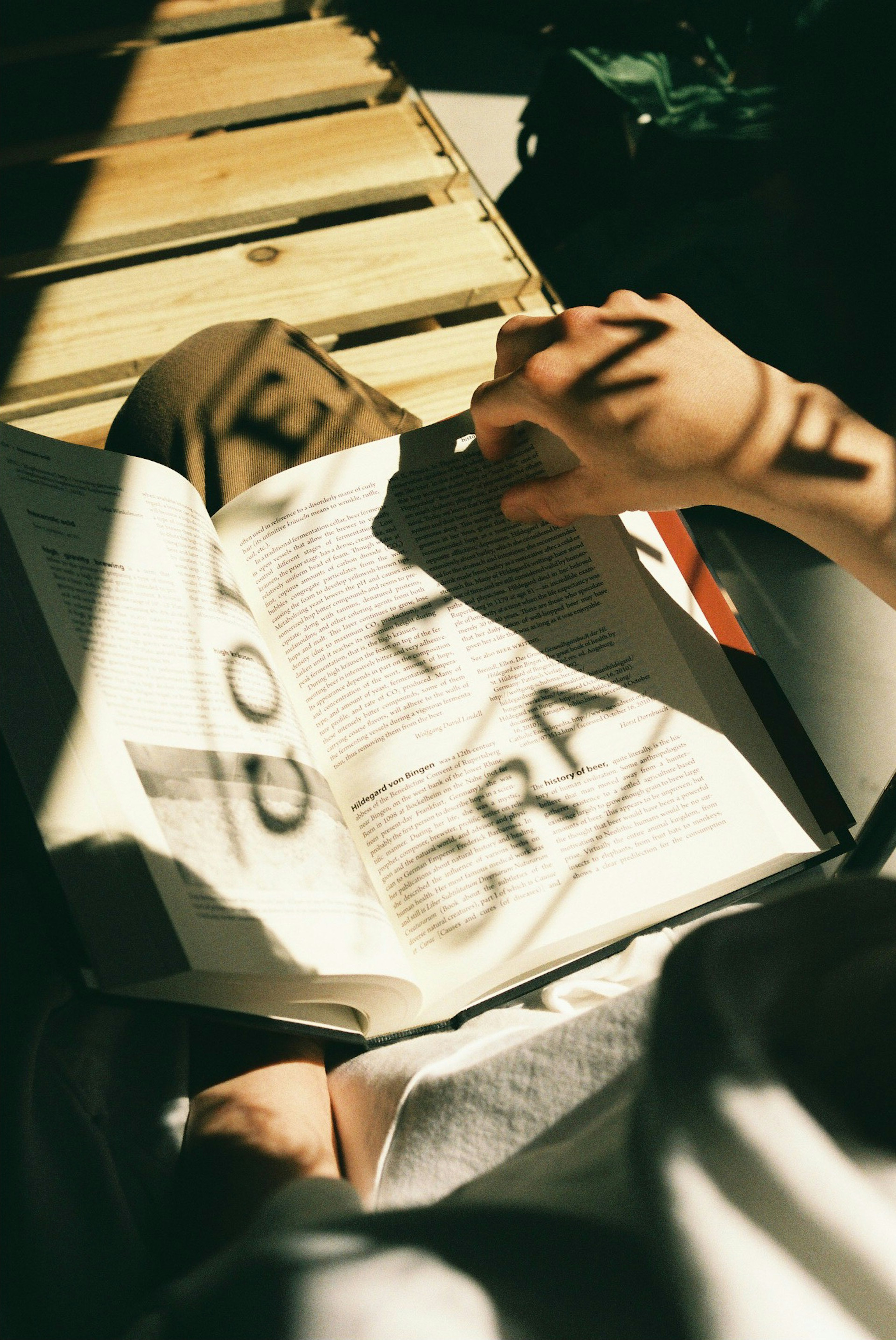 A hand holding an open book with shadows and sunlight creating patterns