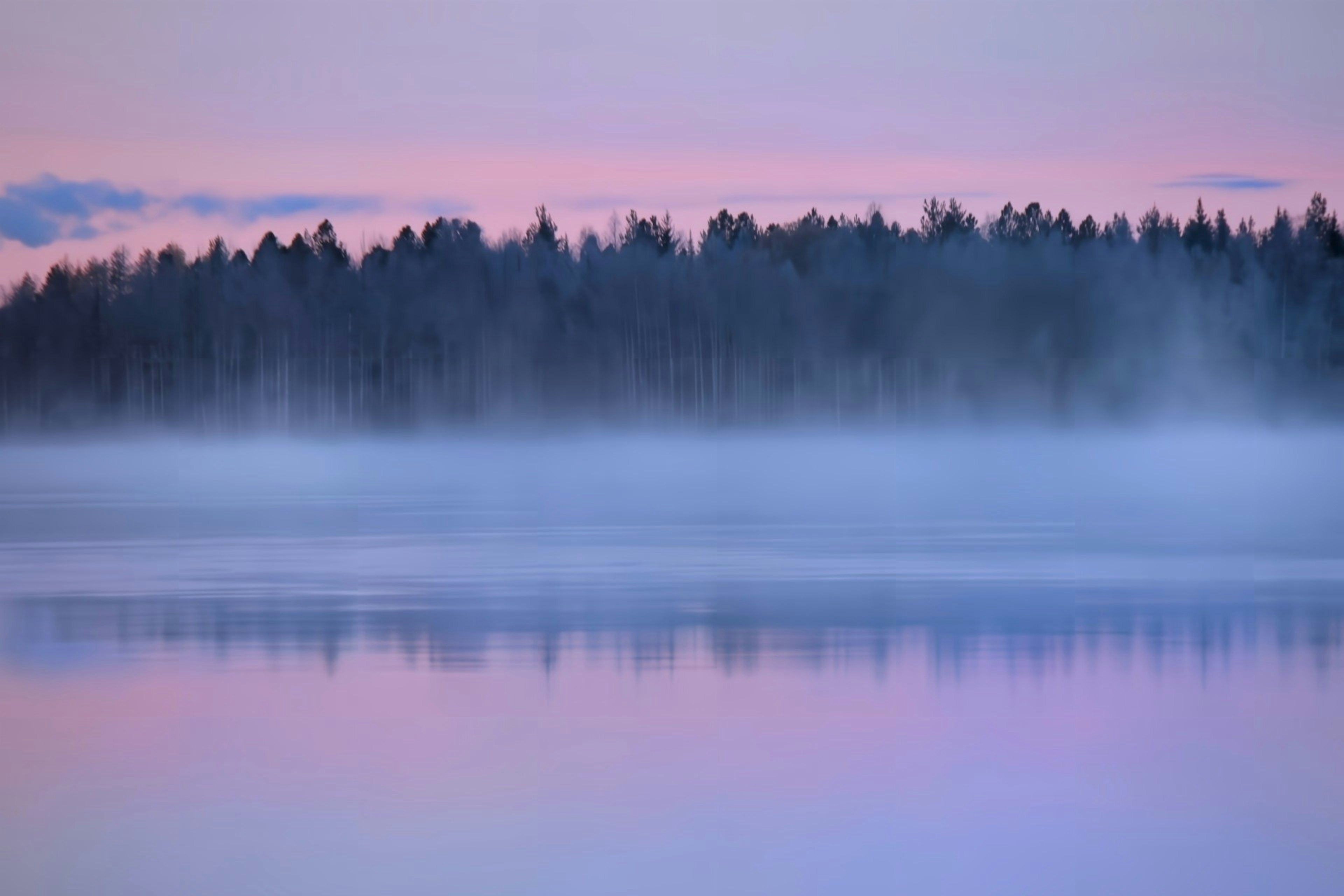 Lac brumeux avec des silhouettes d'arbres contre un ciel violet doux